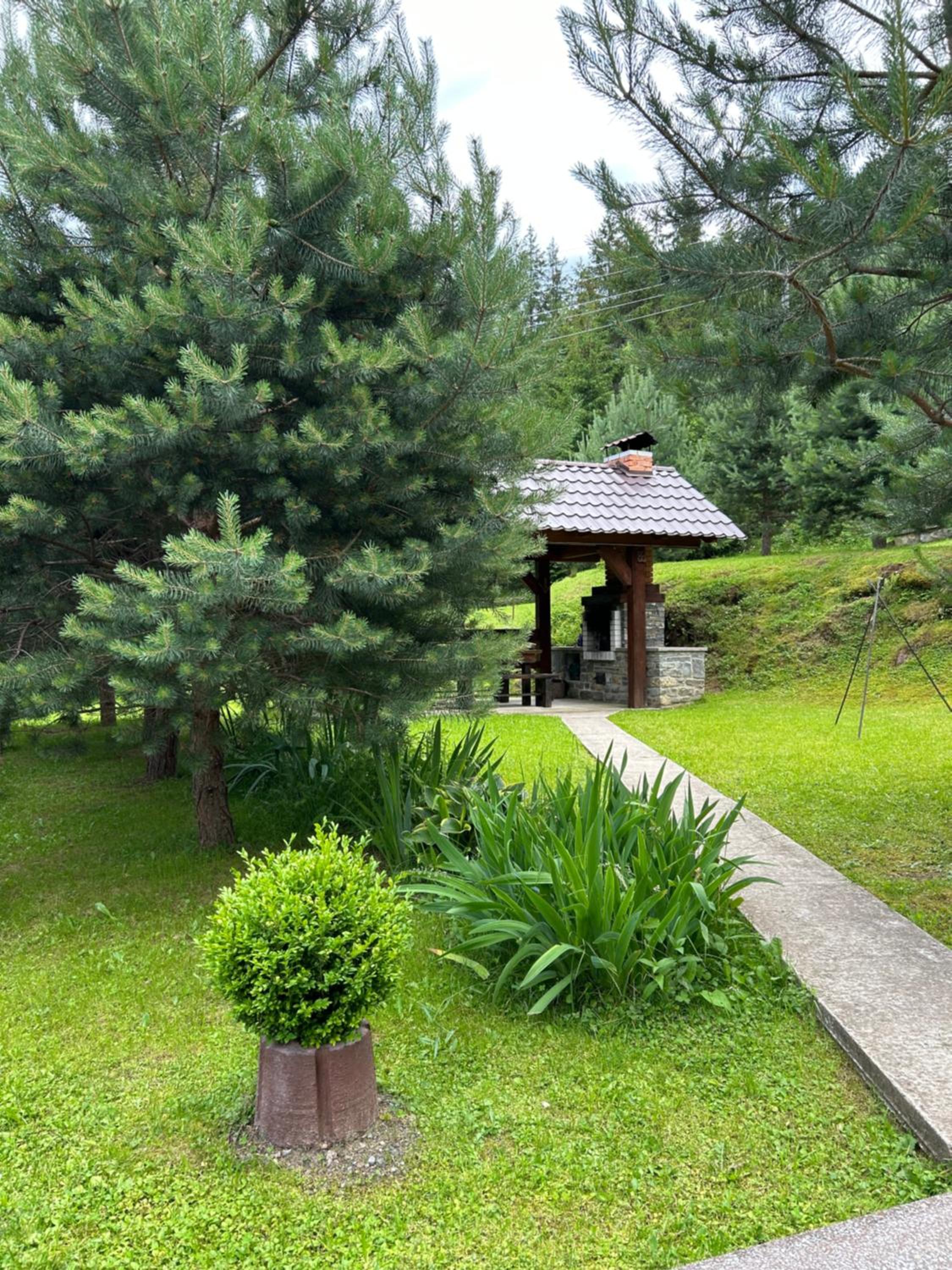 garden