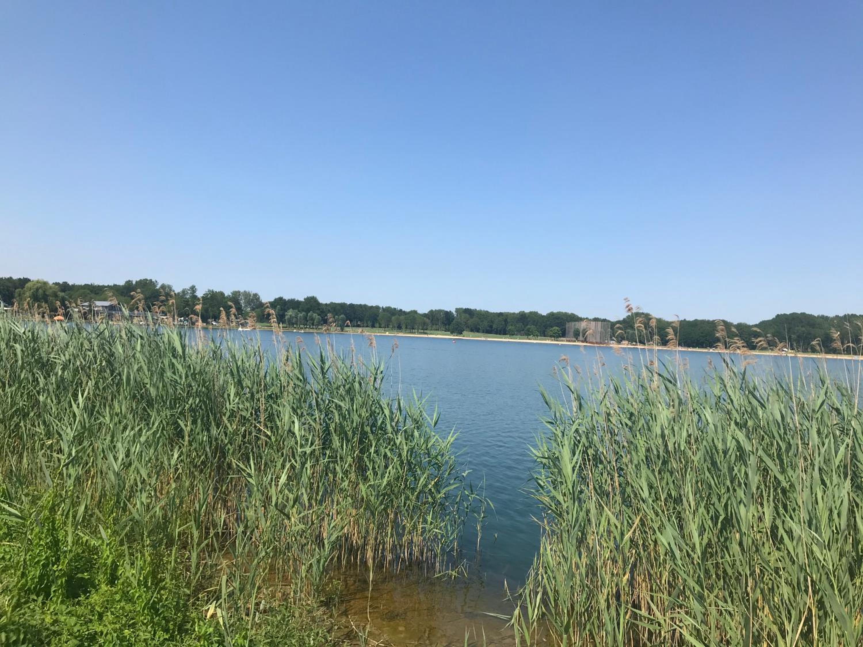 Wielewaal