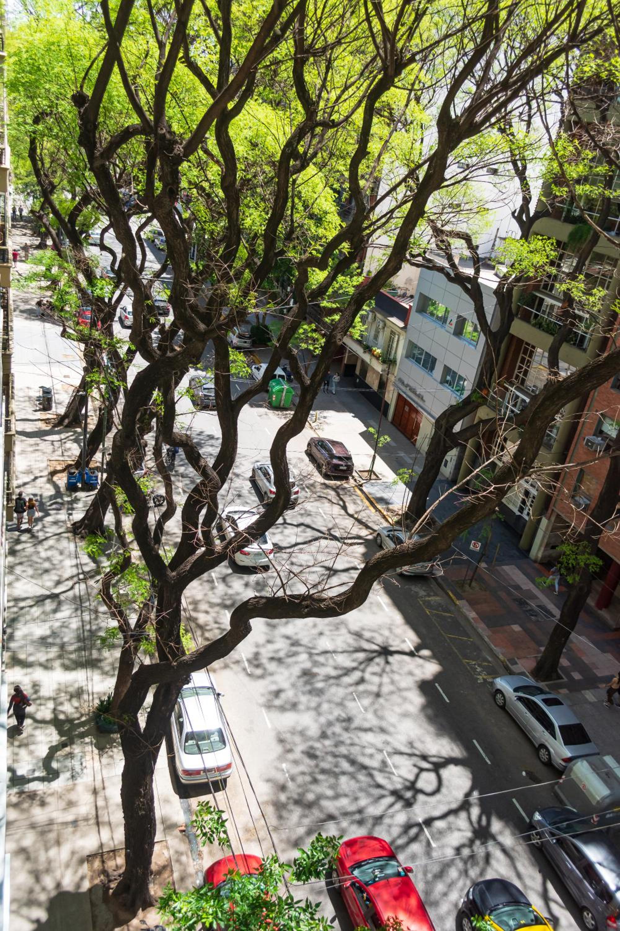 Exclusivo Palermo, luminoso, mejor ubicación para vivir, trabajar, pasear