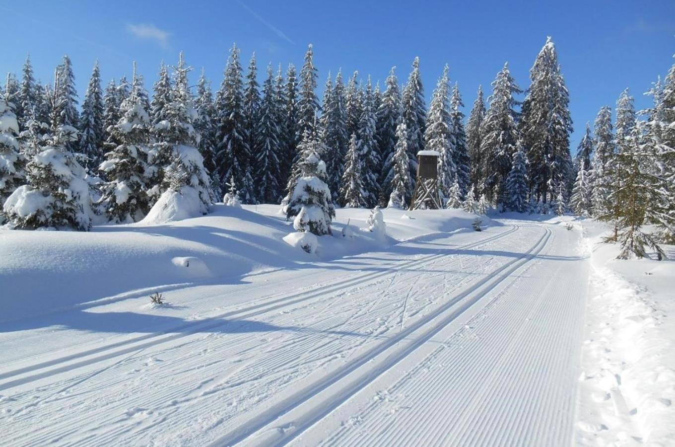 Ski & Bike apartment Bublava