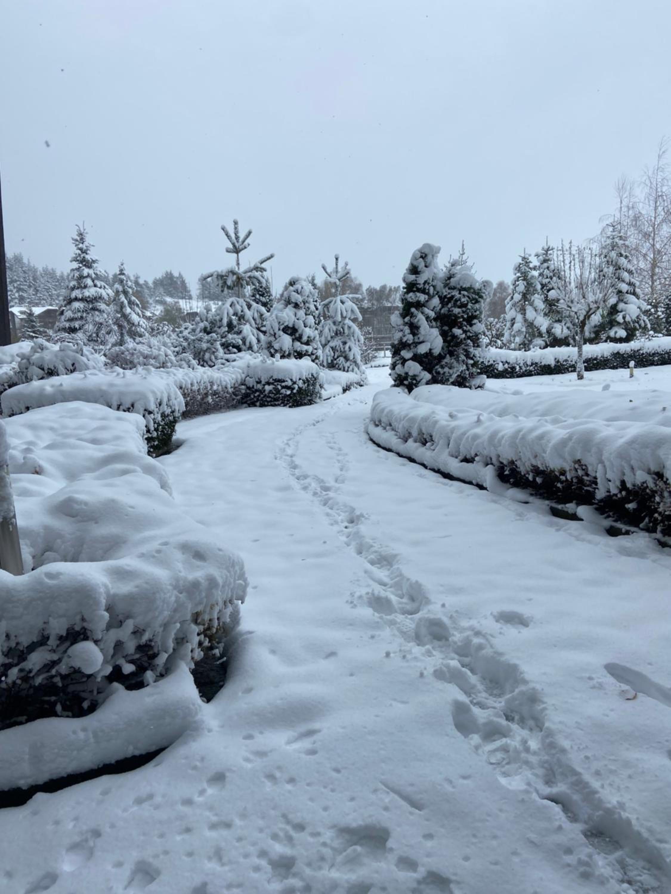 Cosy studios with mountain view near Bansko view 2