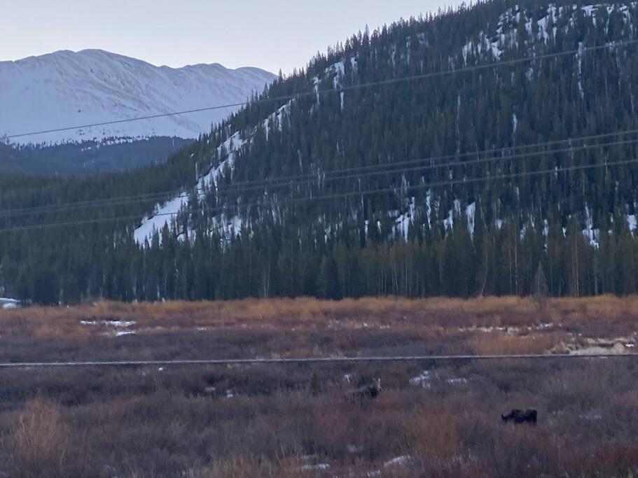 Mountain Views / near hiking trails and ski slopes view 5