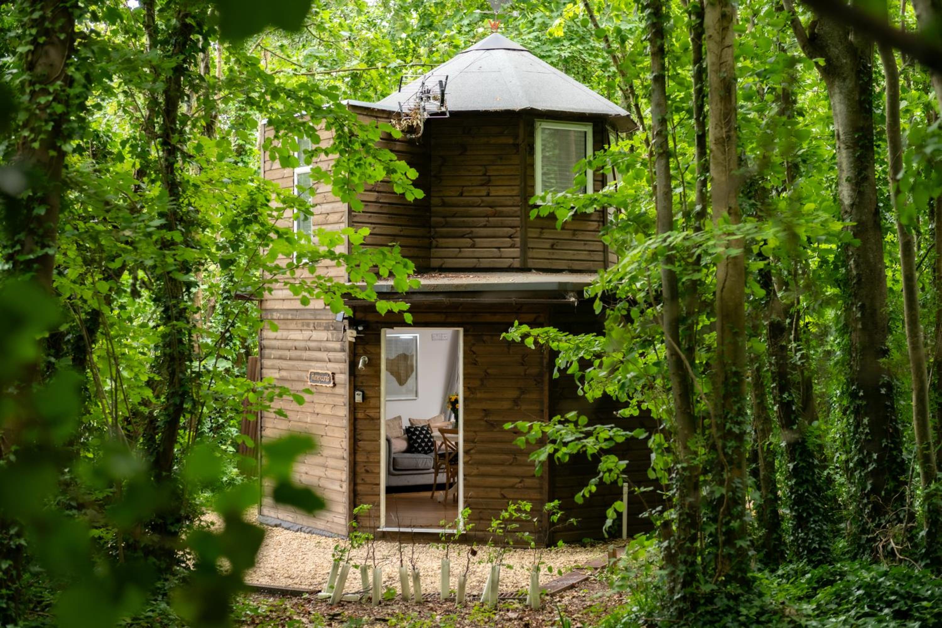 Hotel Honeycombe - Treehouse In The Heart Of Dorset