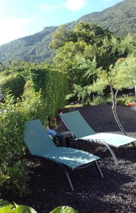 Sunflower Guest House - Madalena - Pico