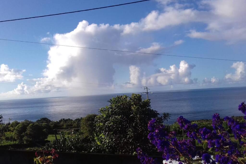 Sunflower Guest House - Madalena - Pico