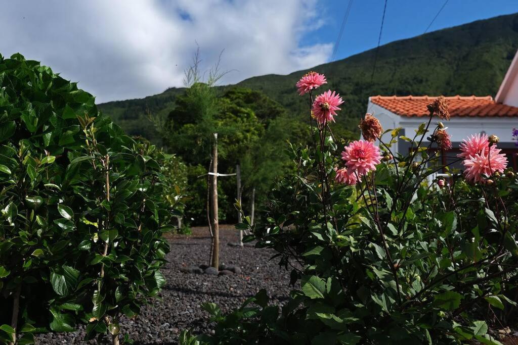 Sunflower Guest House - Madalena - Pico