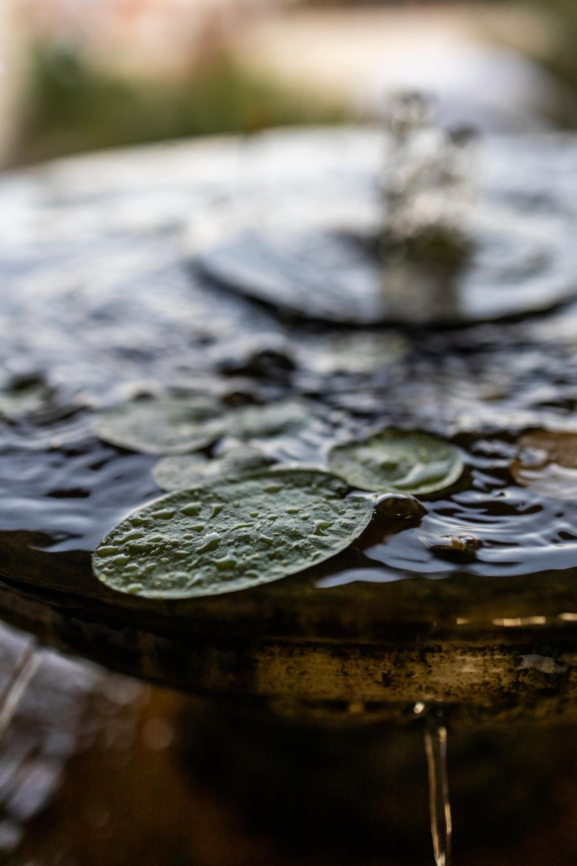Pousada Ceará - Porto das Dunas