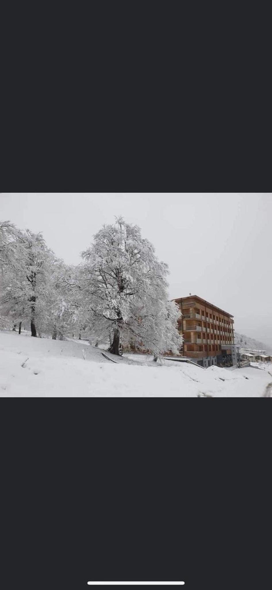 Apartament DIDVELI