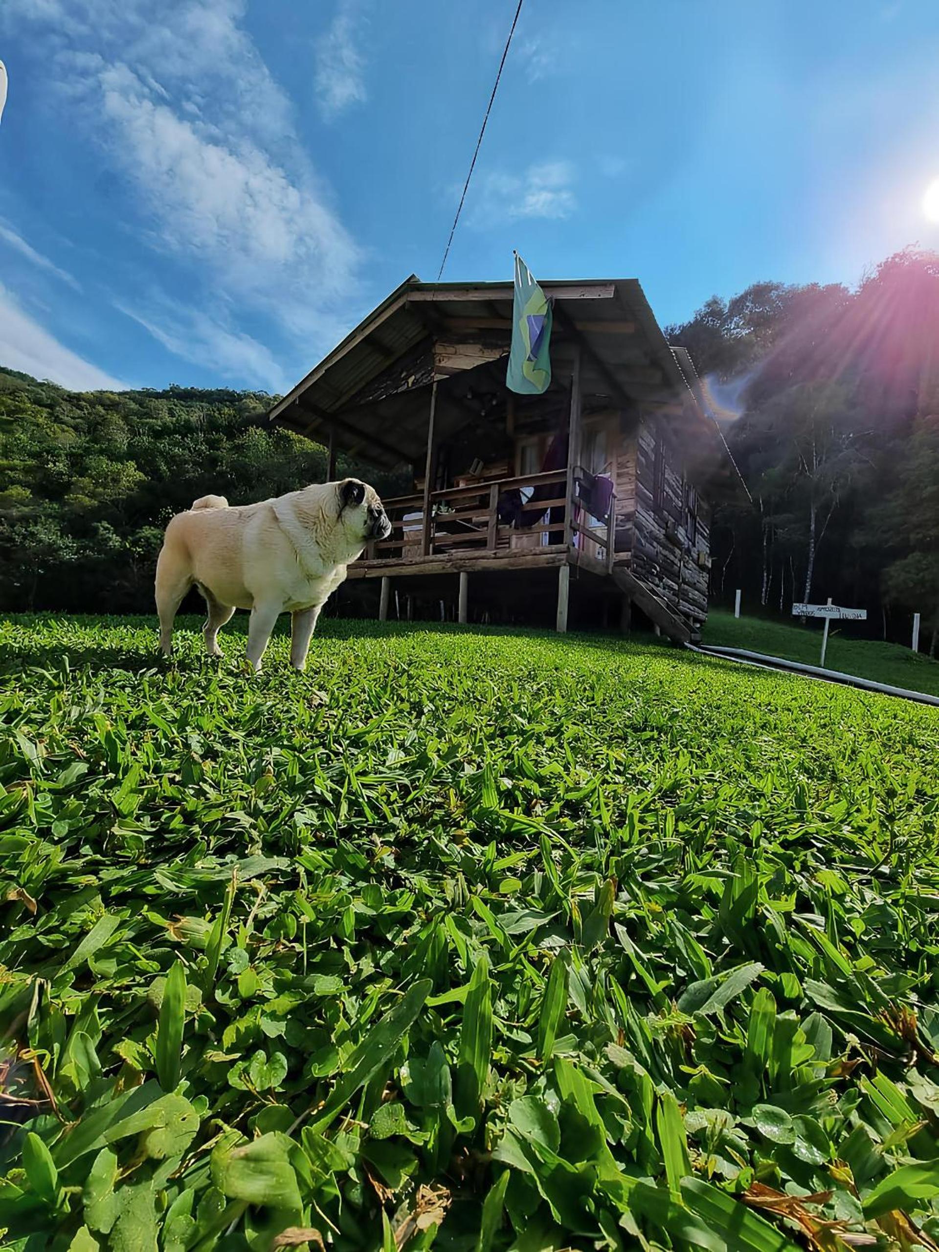 Cabana VÔ NANA