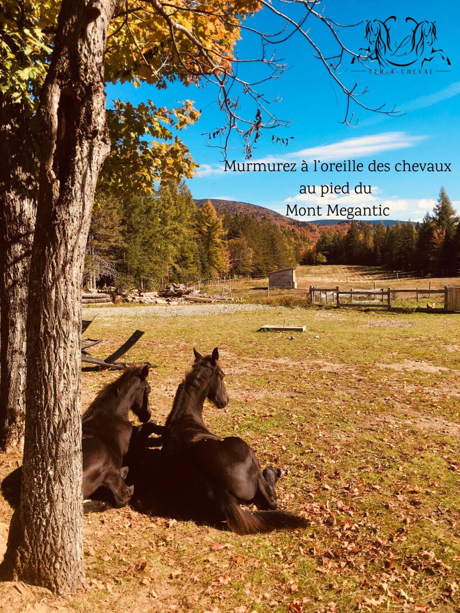 Mont Megantic - Chalet Le Madison