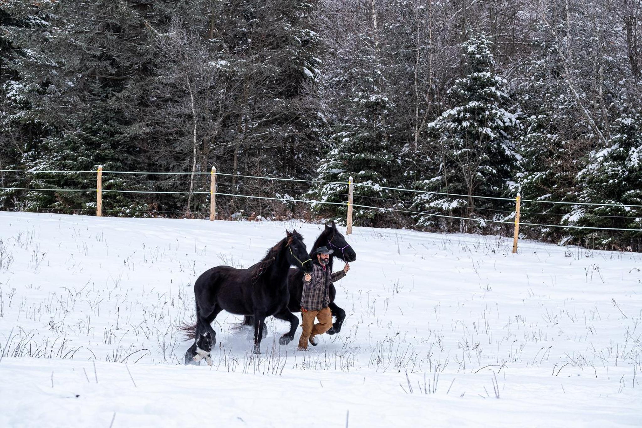 Mont Megantic - Chalet Le Madison