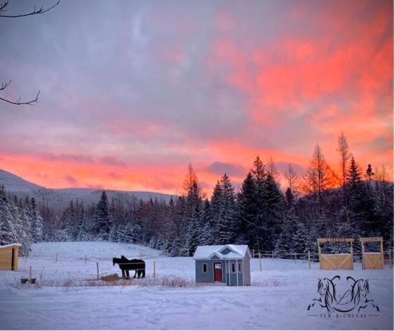 Mont Megantic - Chalet Le Madison
