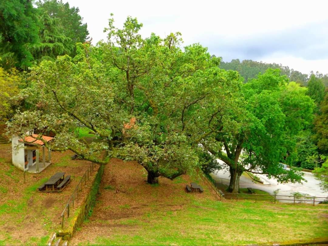 CASA do AÇÔR view 3