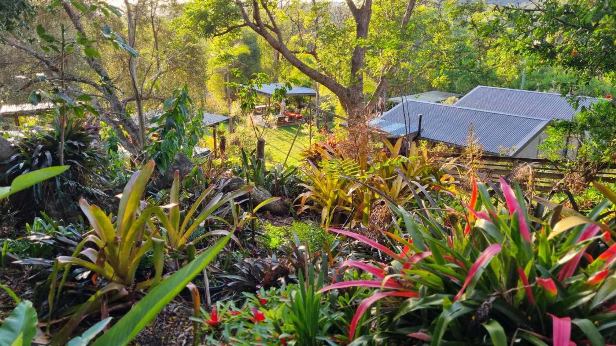 Healing Garden Bed & Breakfast - Ubud
