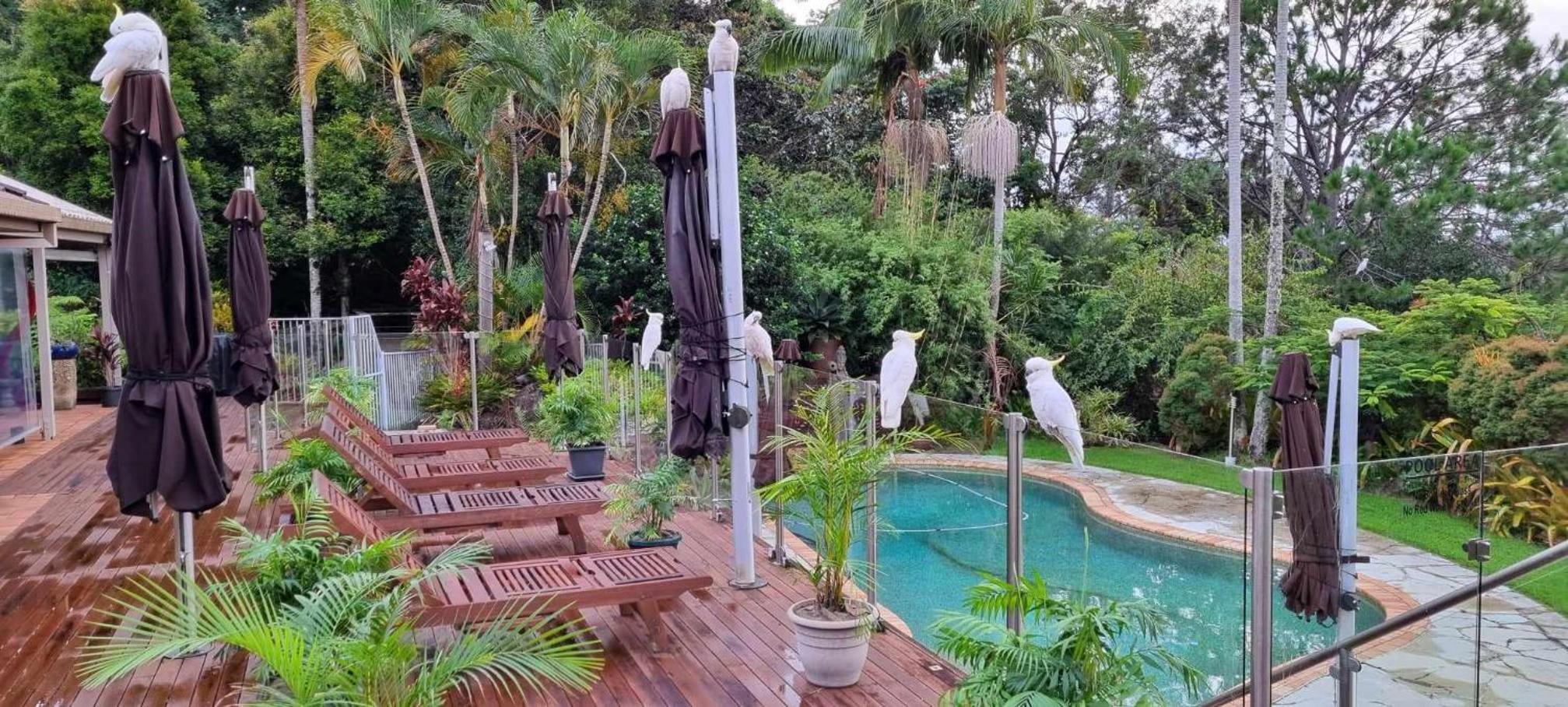 Healing Garden Bed & Breakfast - Ubud