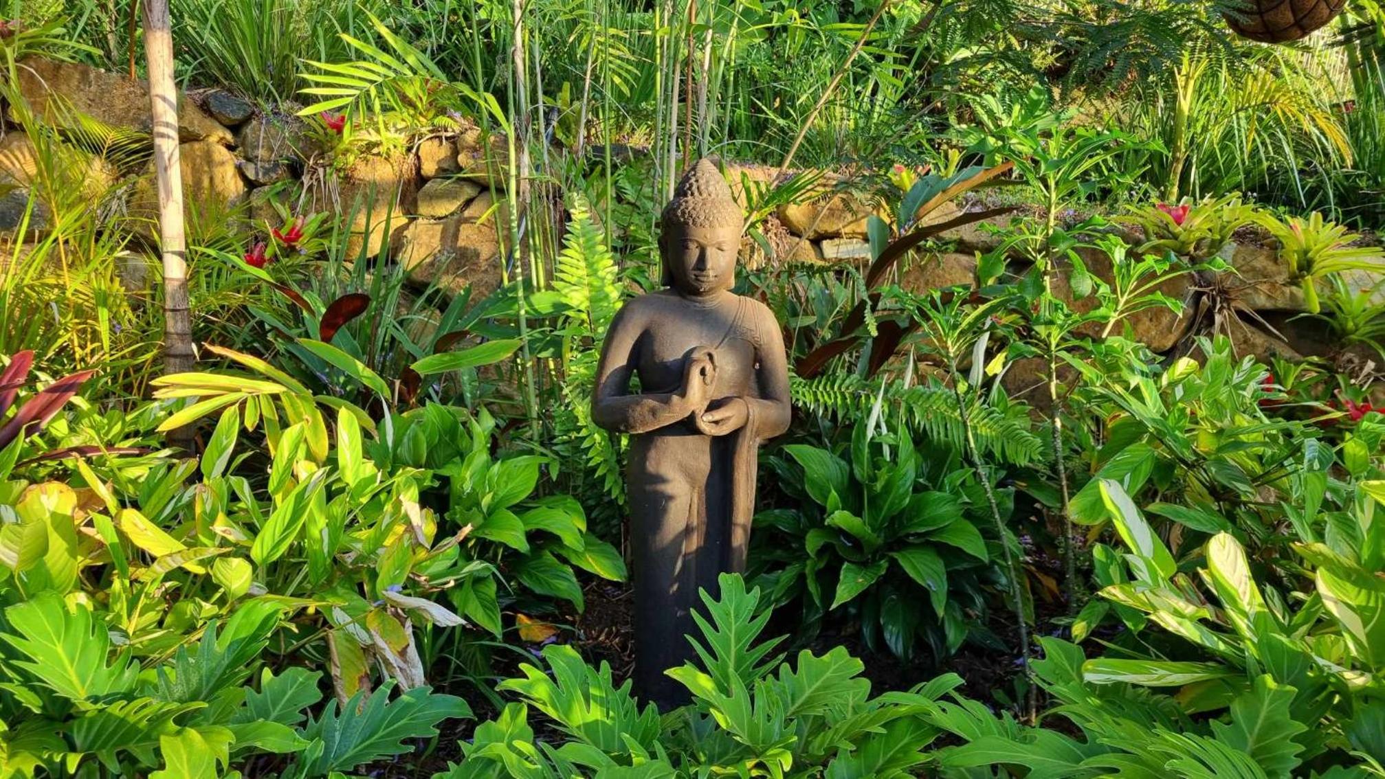 Healing Garden Bed & Breakfast - Ubud