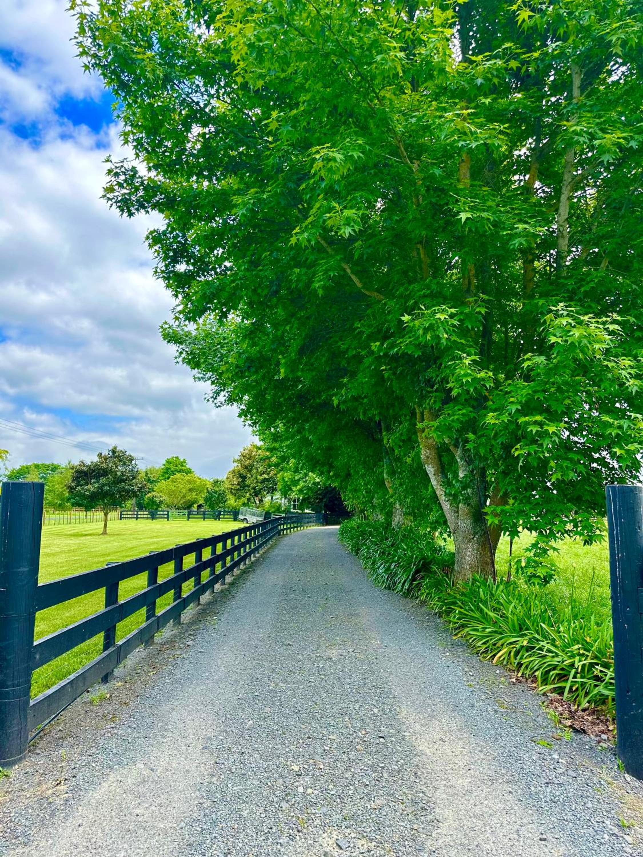 Matamata Country B&B view 5