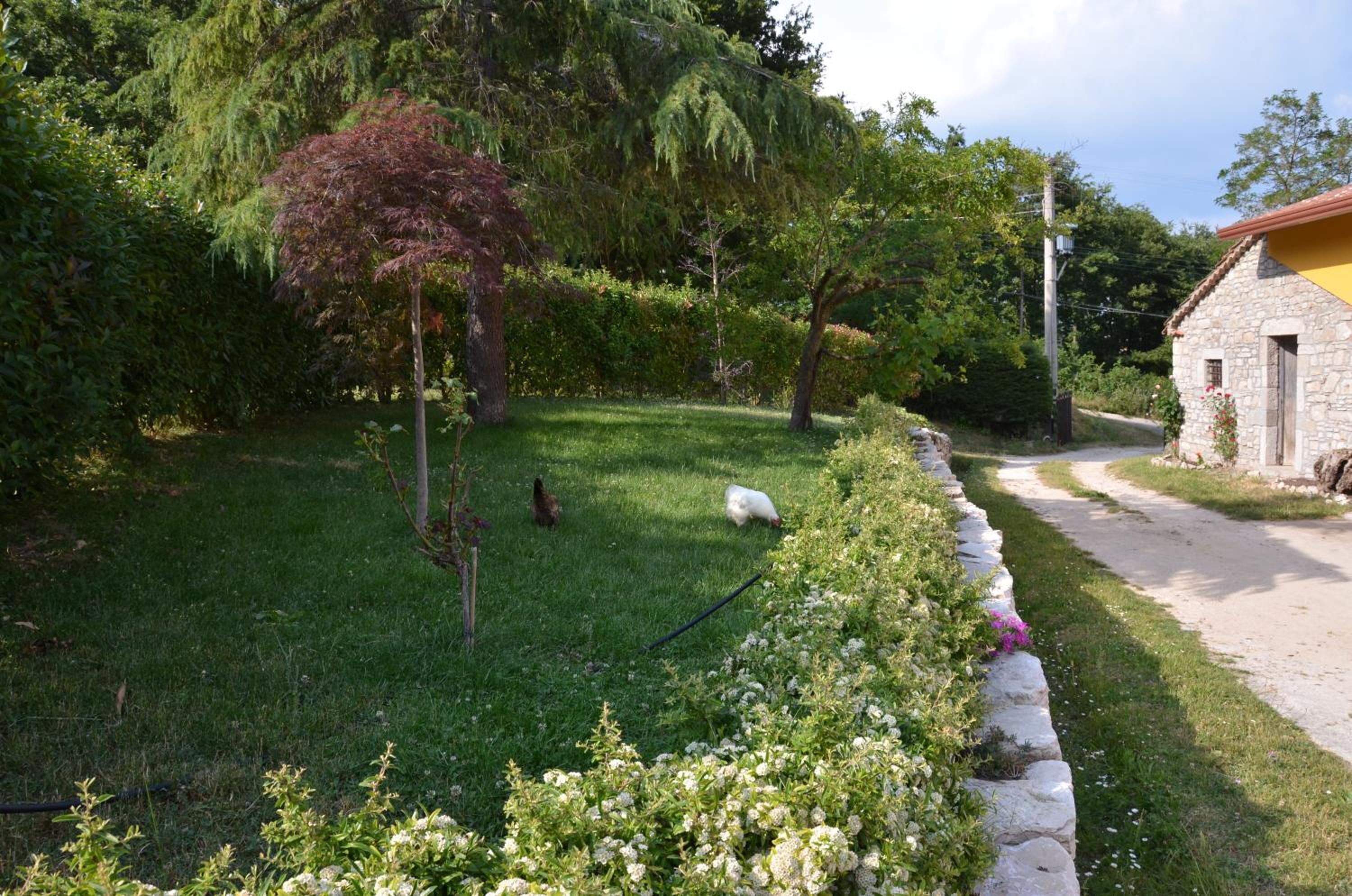 Photo 6