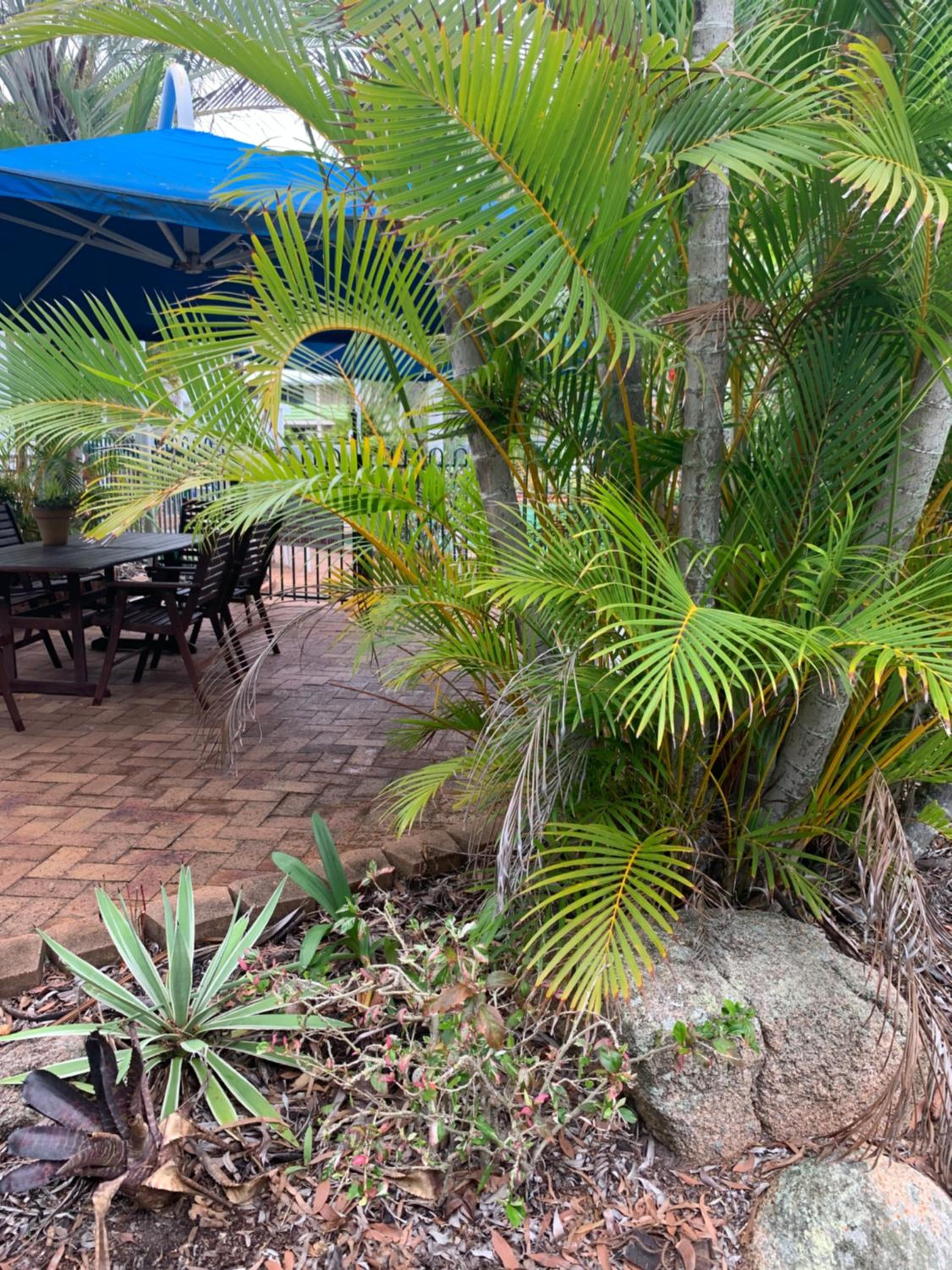 Beachfront at Silver Sands Hervey Bay