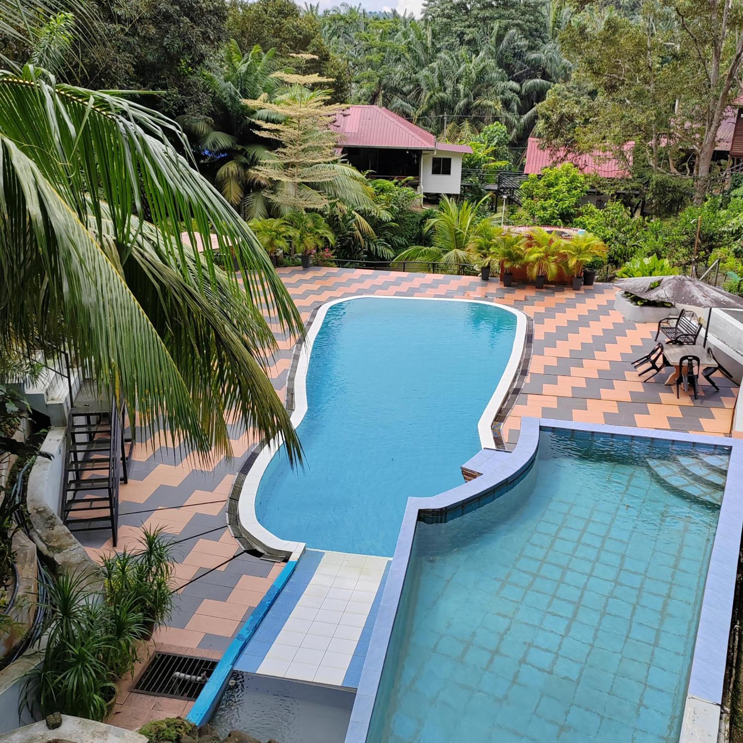D'Bukit Forest photo 6