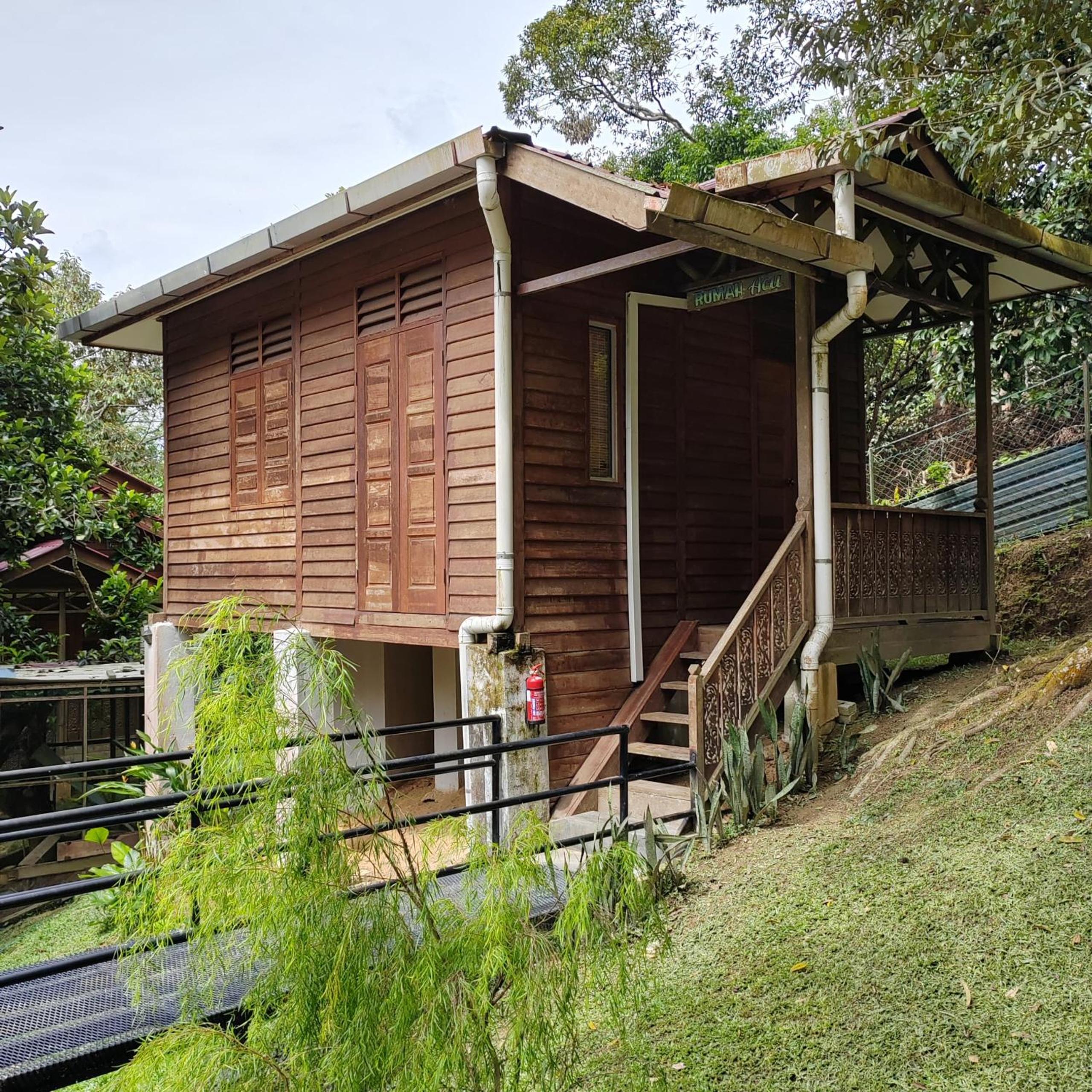 D'Bukit Forest photo 5