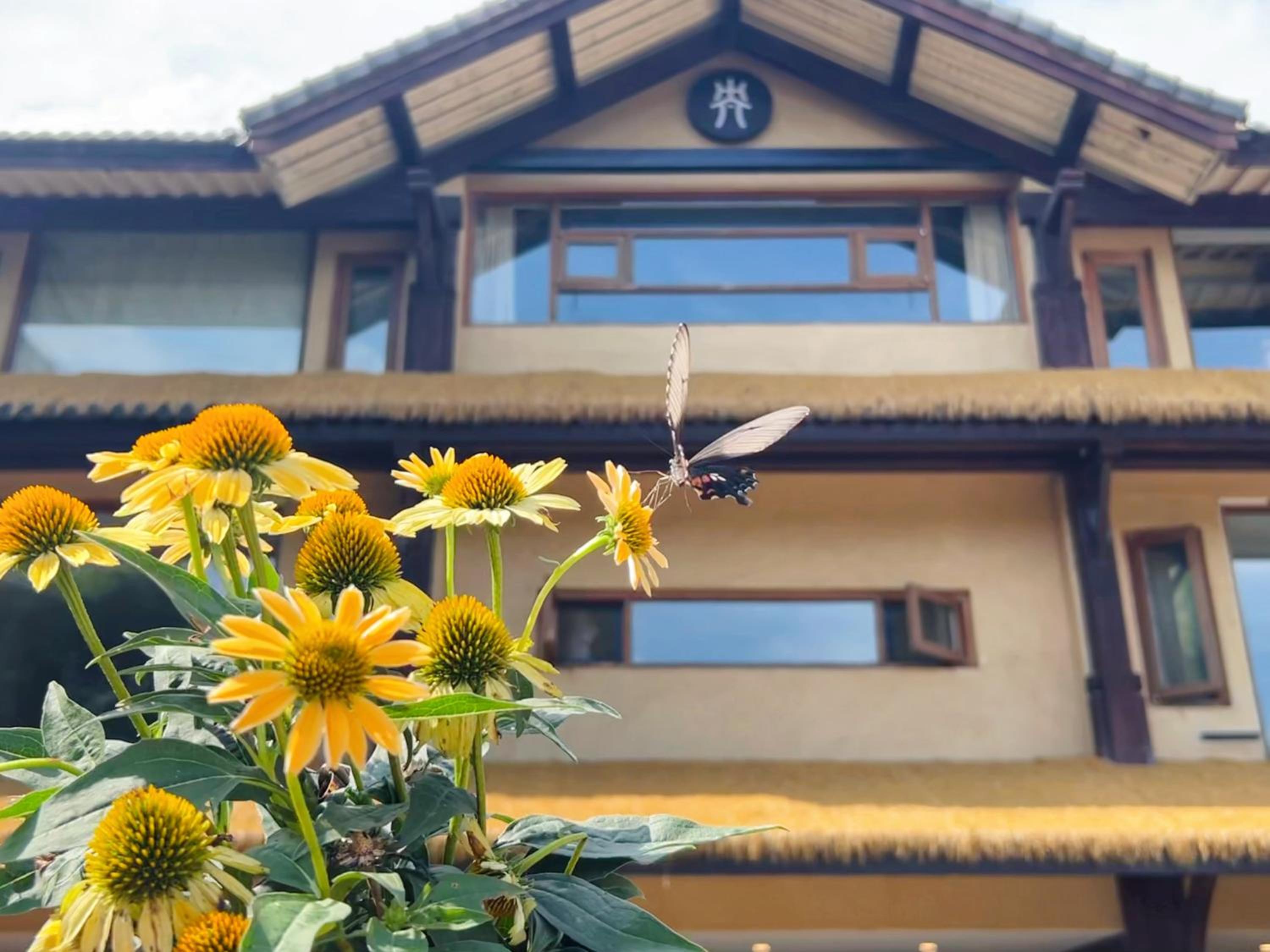 Hangzhou XianQingShan Homestay Westlake
