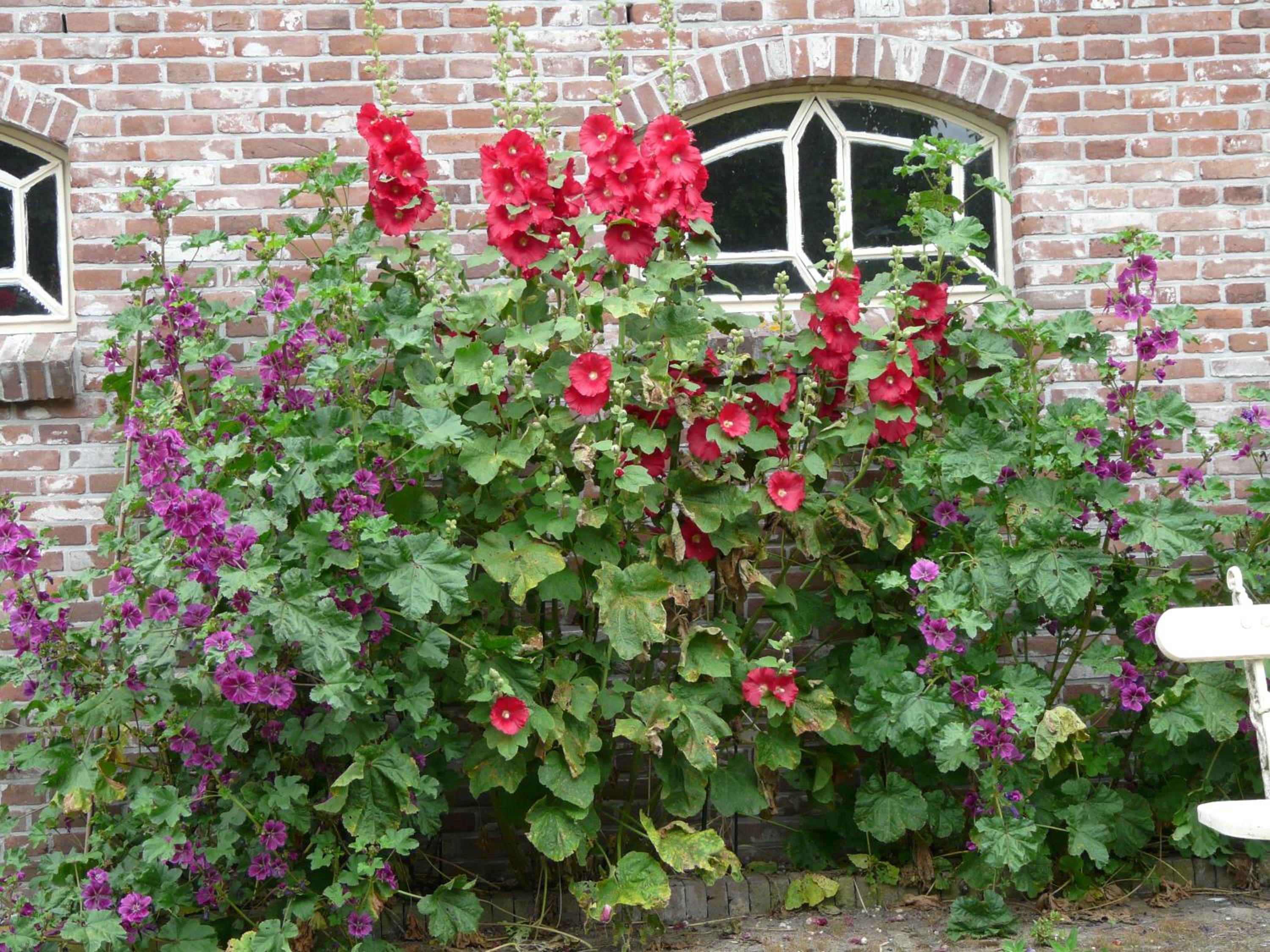 de Boomgaard Groene Hart view 5