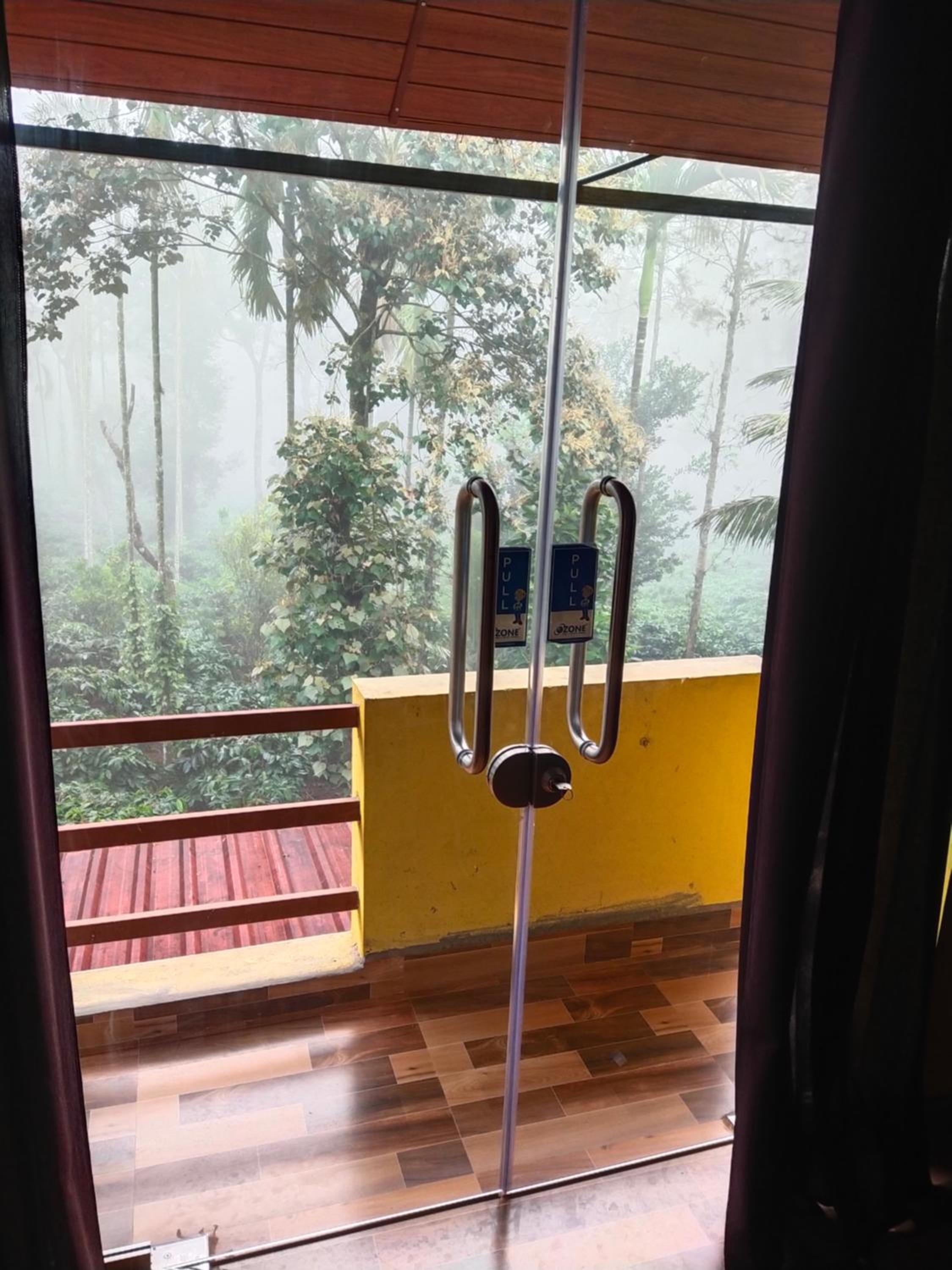 Coorg misty fog view 4