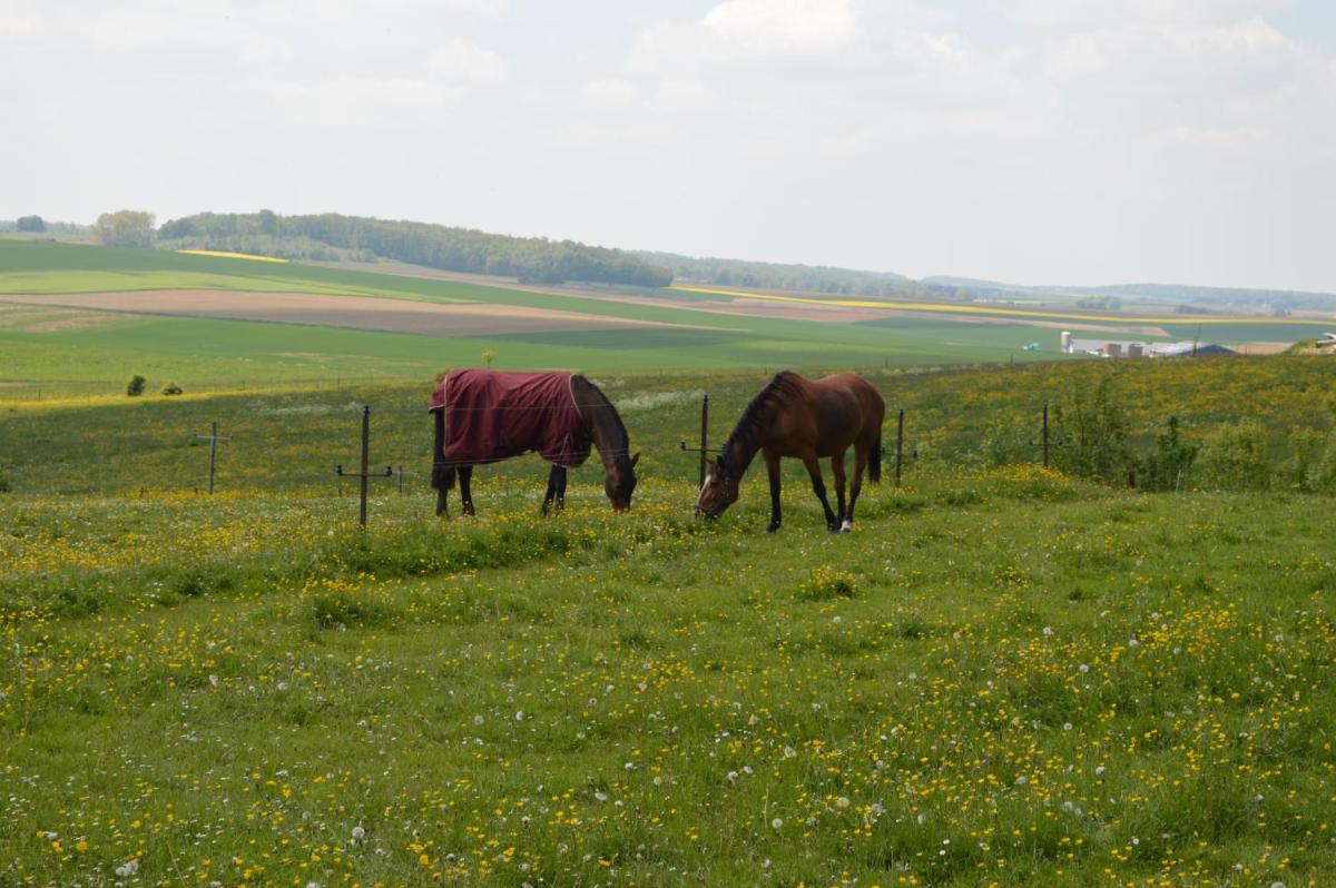 Gites de la Costerie
