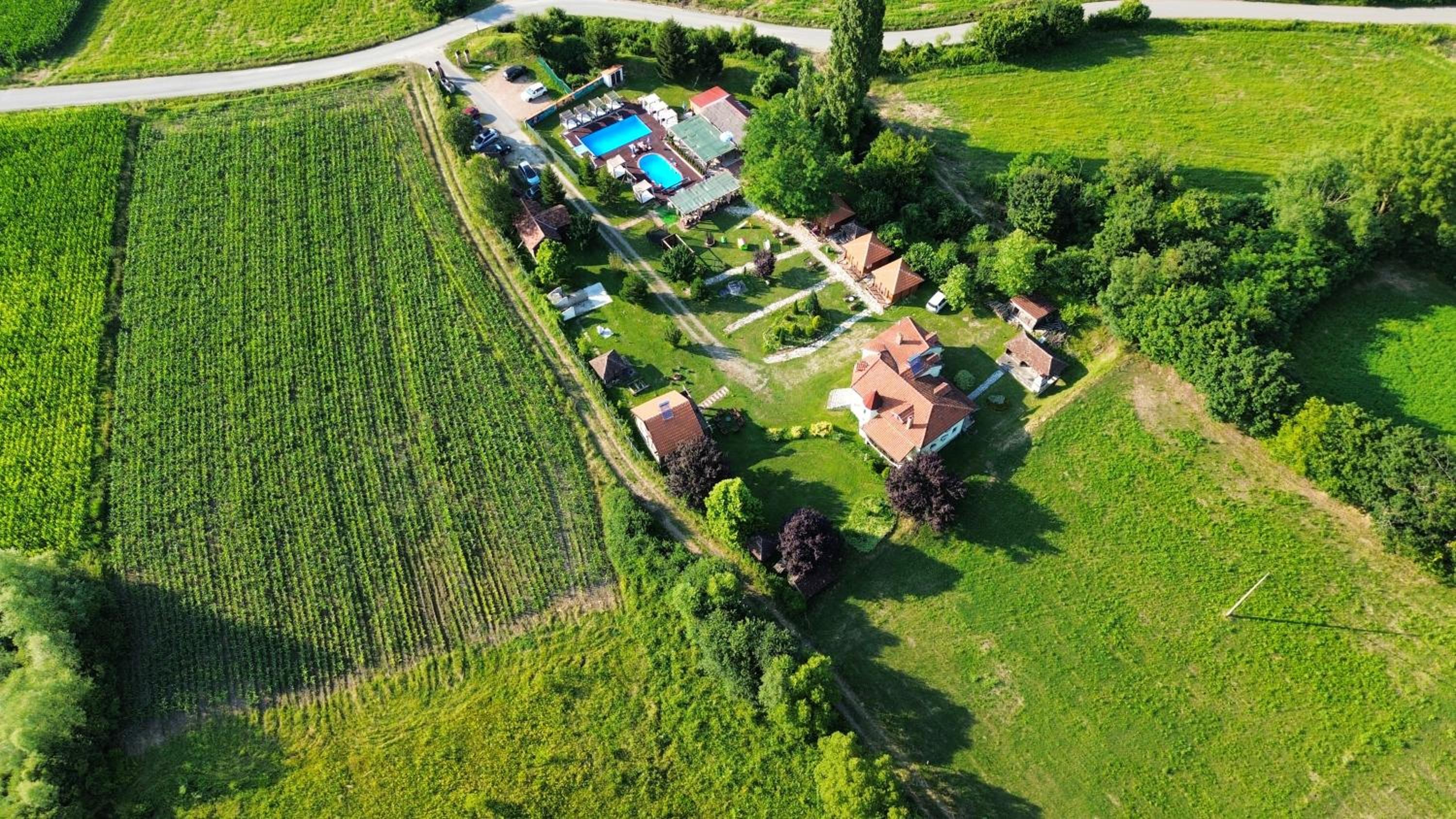Vila Rodjak sa sela