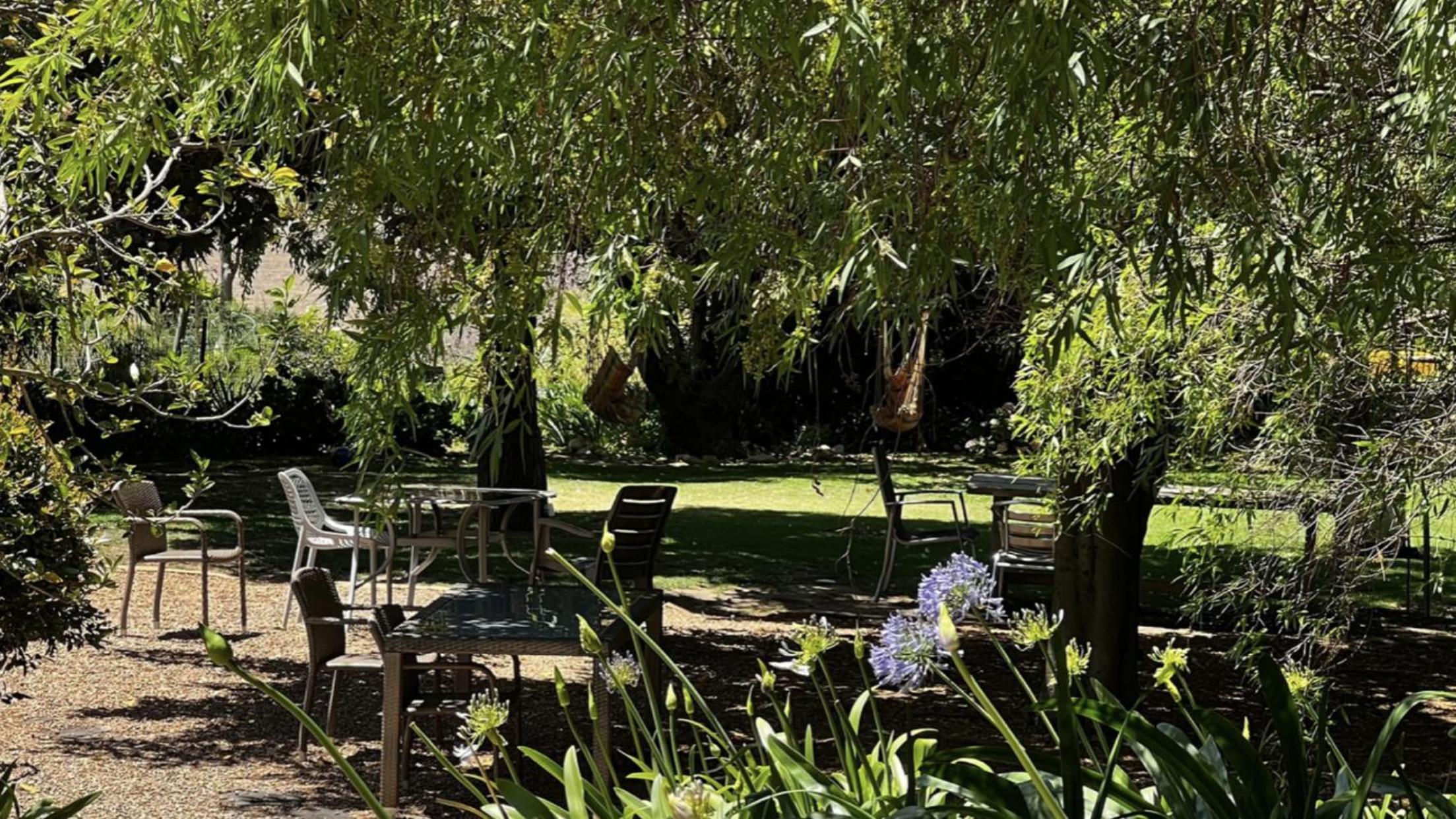 In the Vine Country Manor Guesthouse