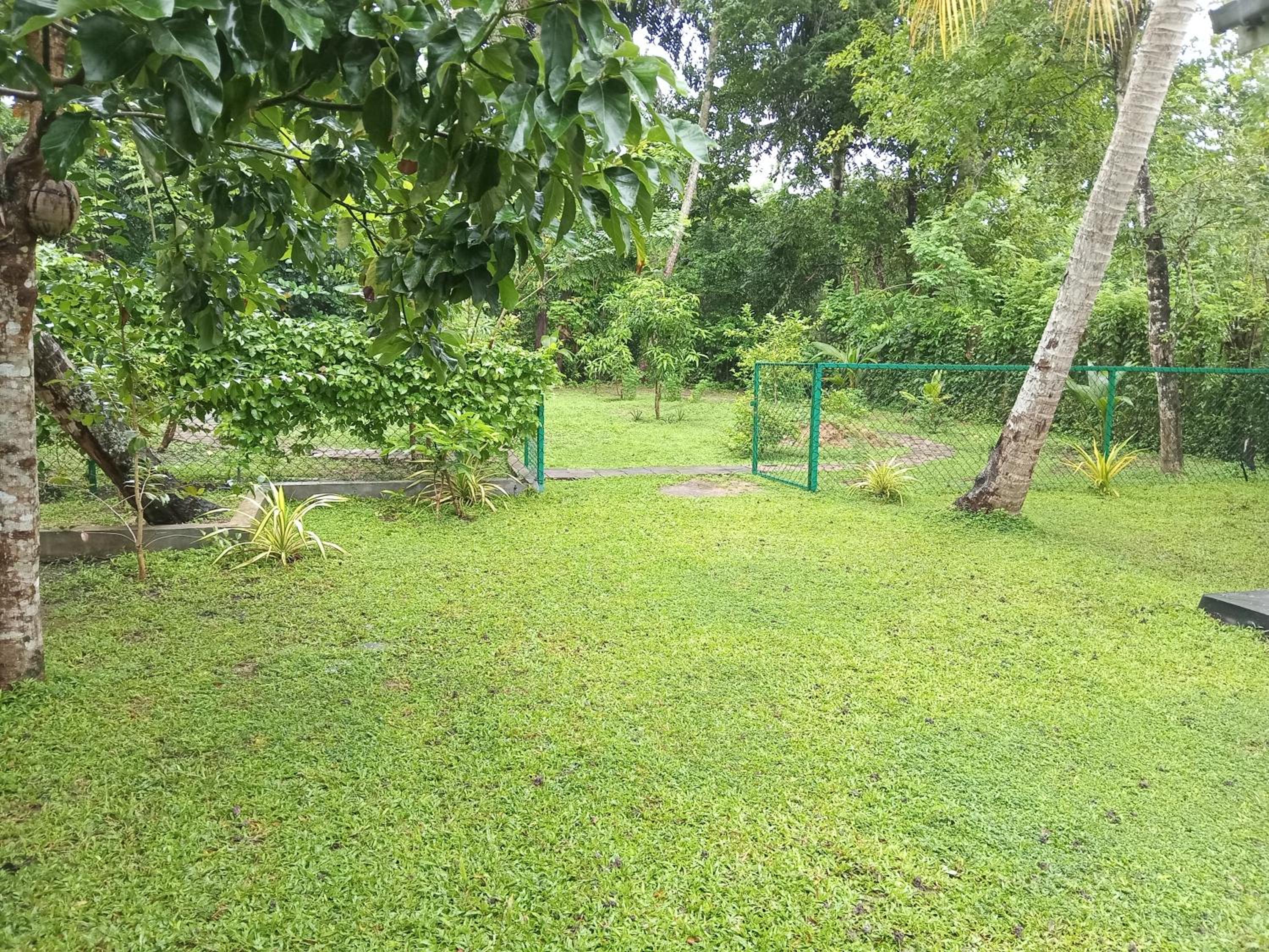 Photo 8