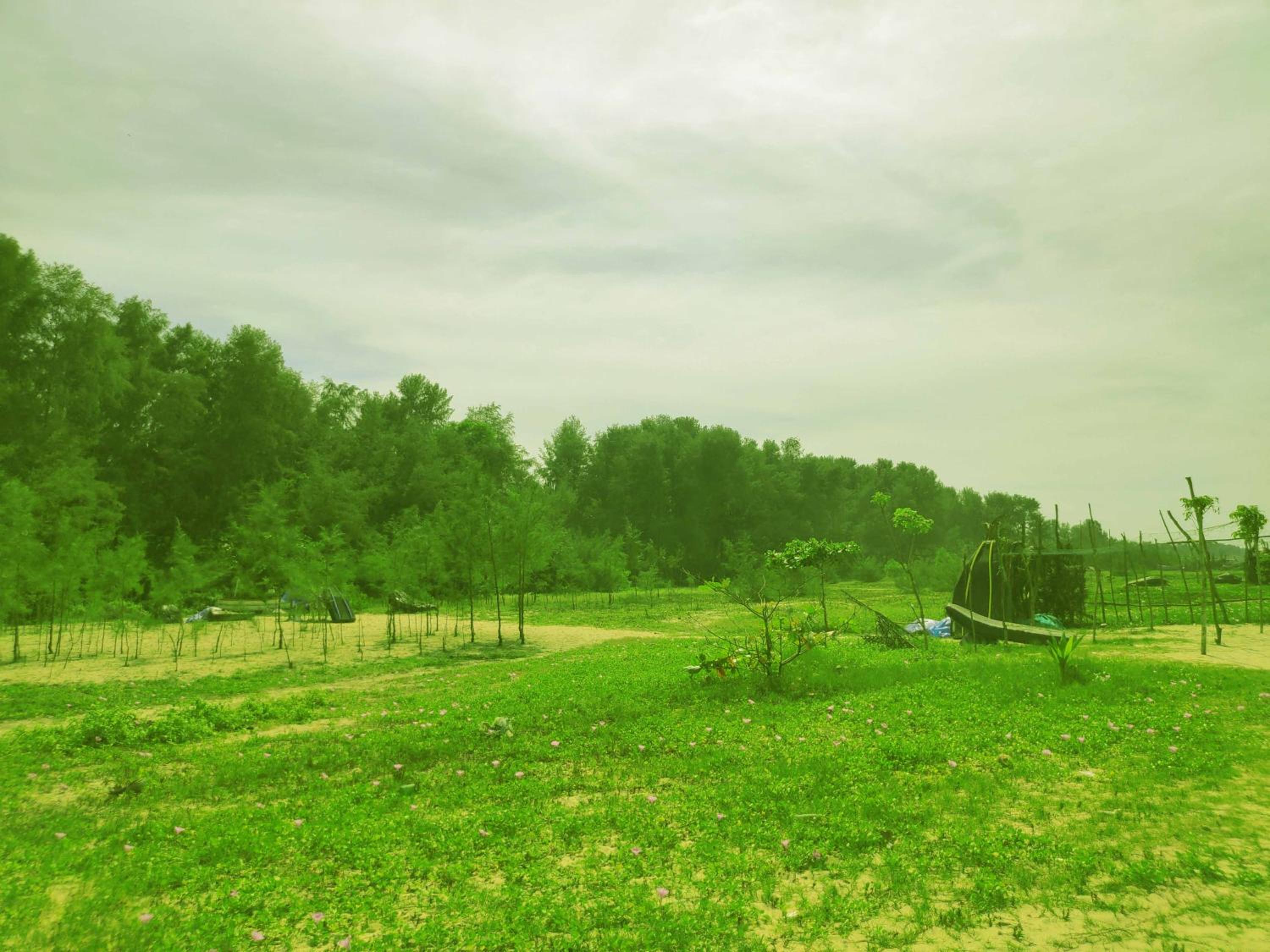 Marari Irine Homestay