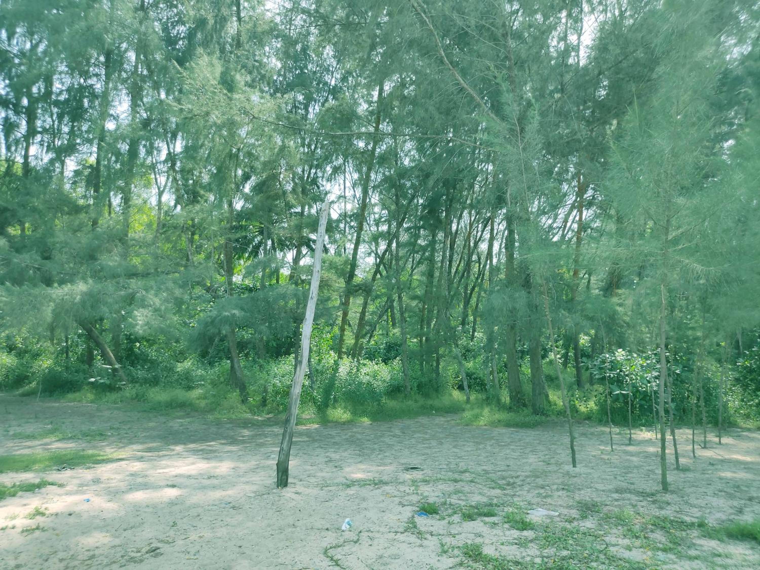 Marari Irine Homestay