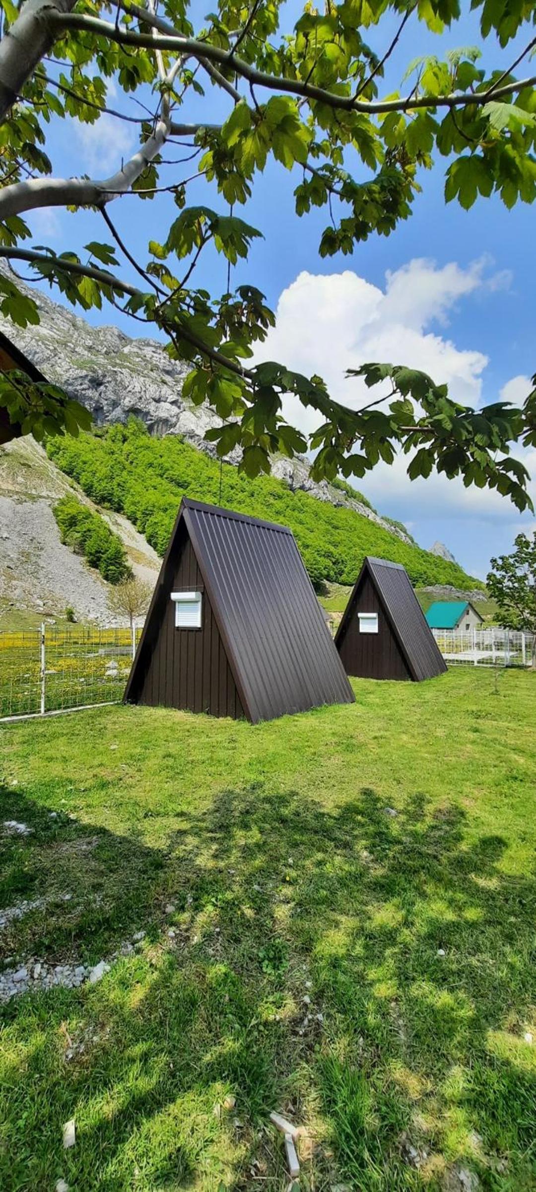 Katun Mokra accommodation & horseback riding view 4