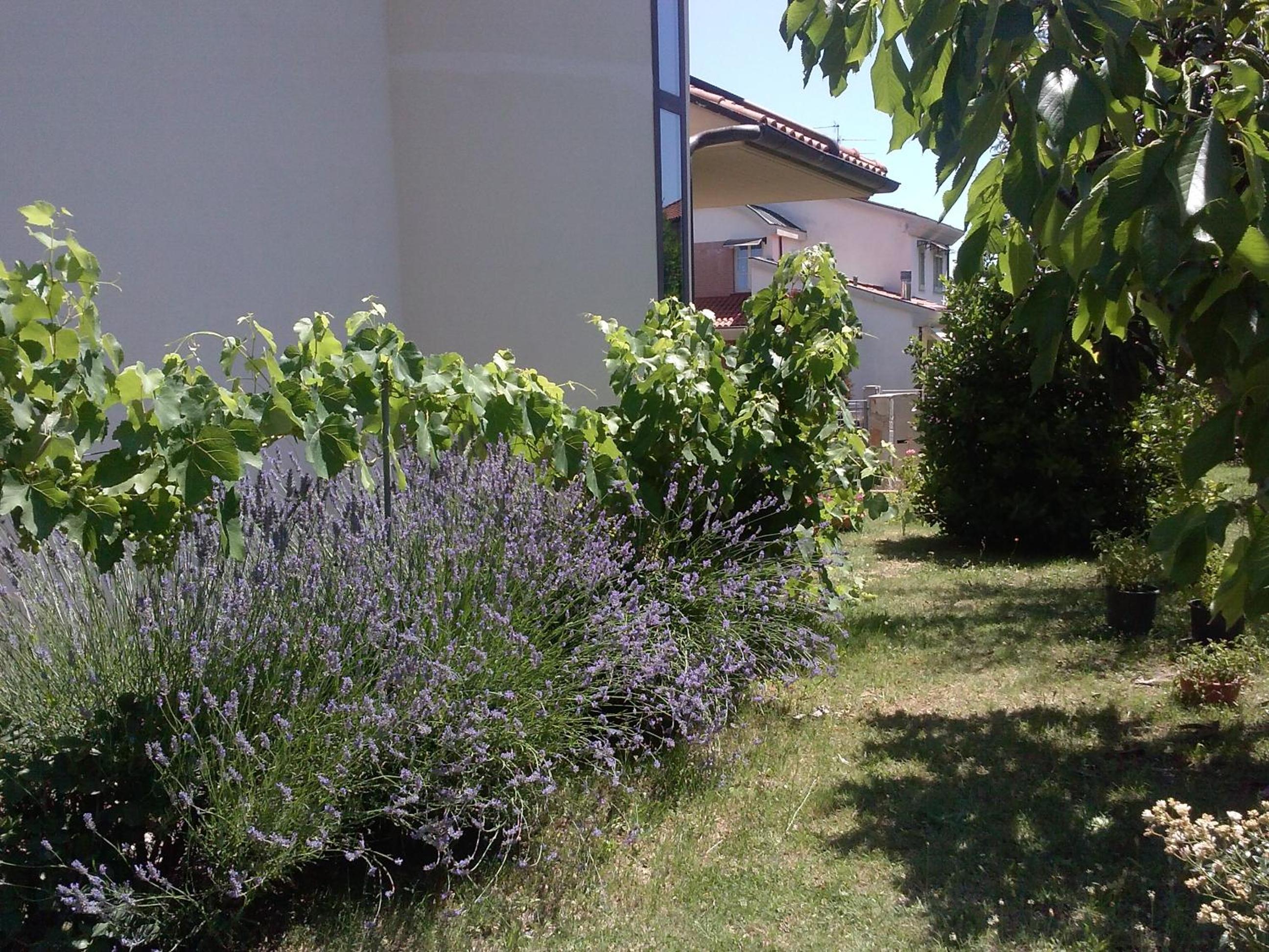 Casa Roberta view 5