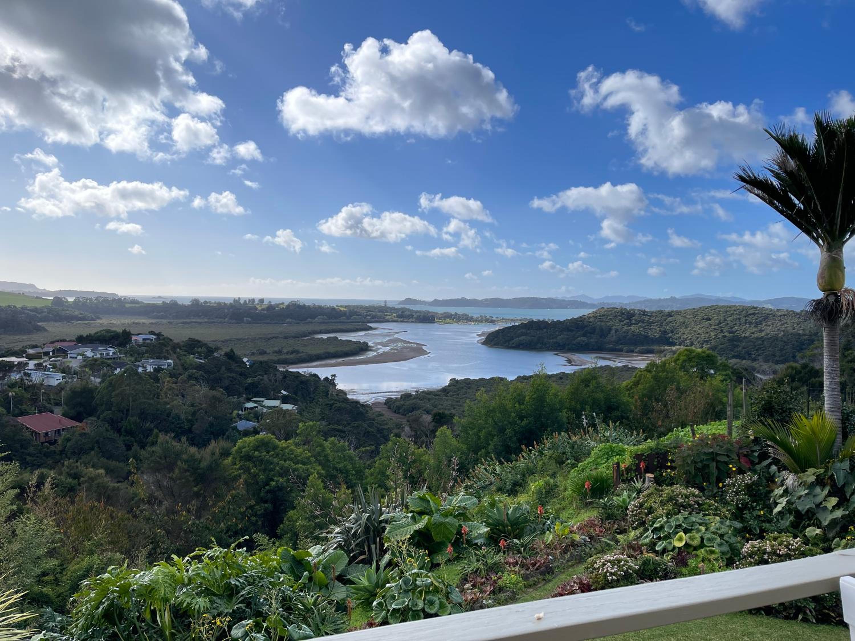 Baywaterviews