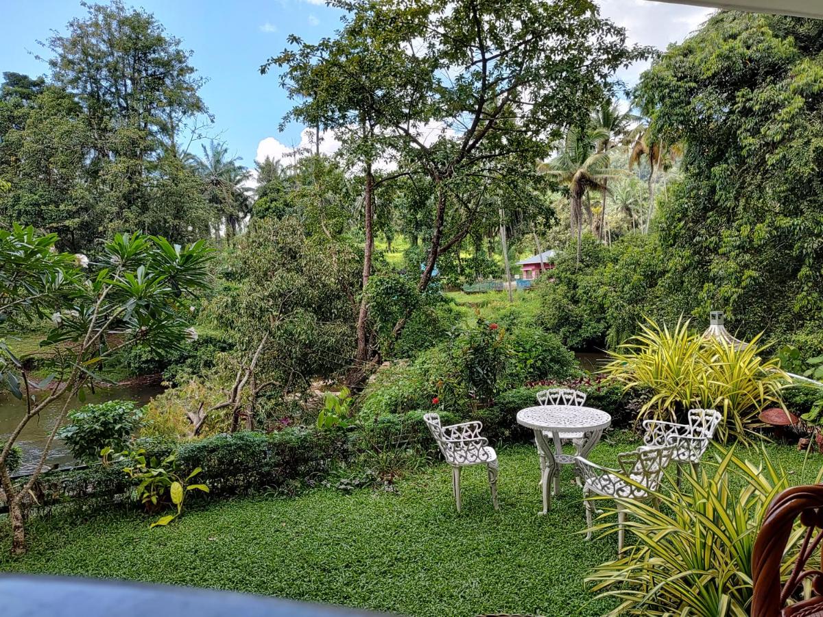 Athirapilly On The Rocks view 5