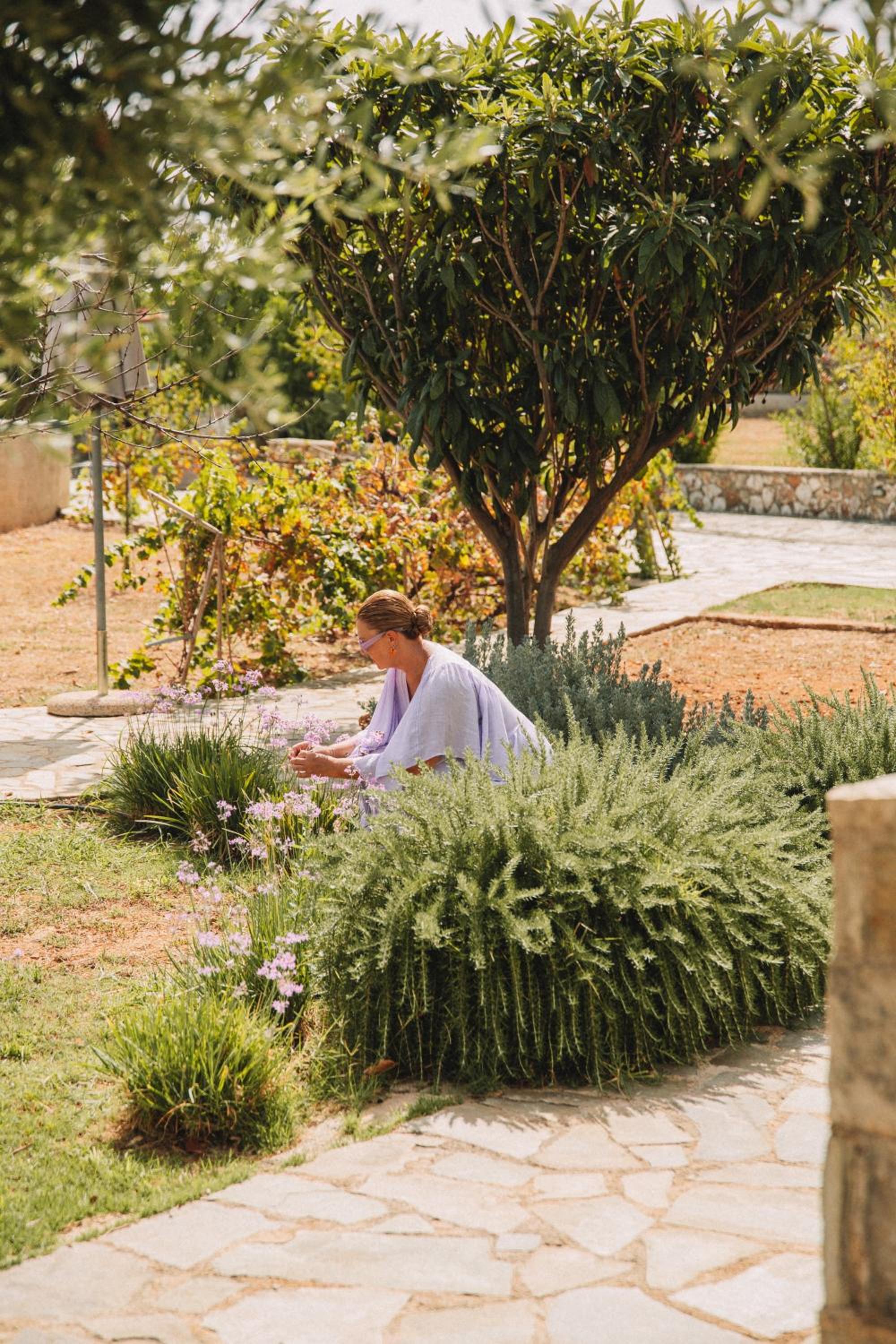 Photo 40