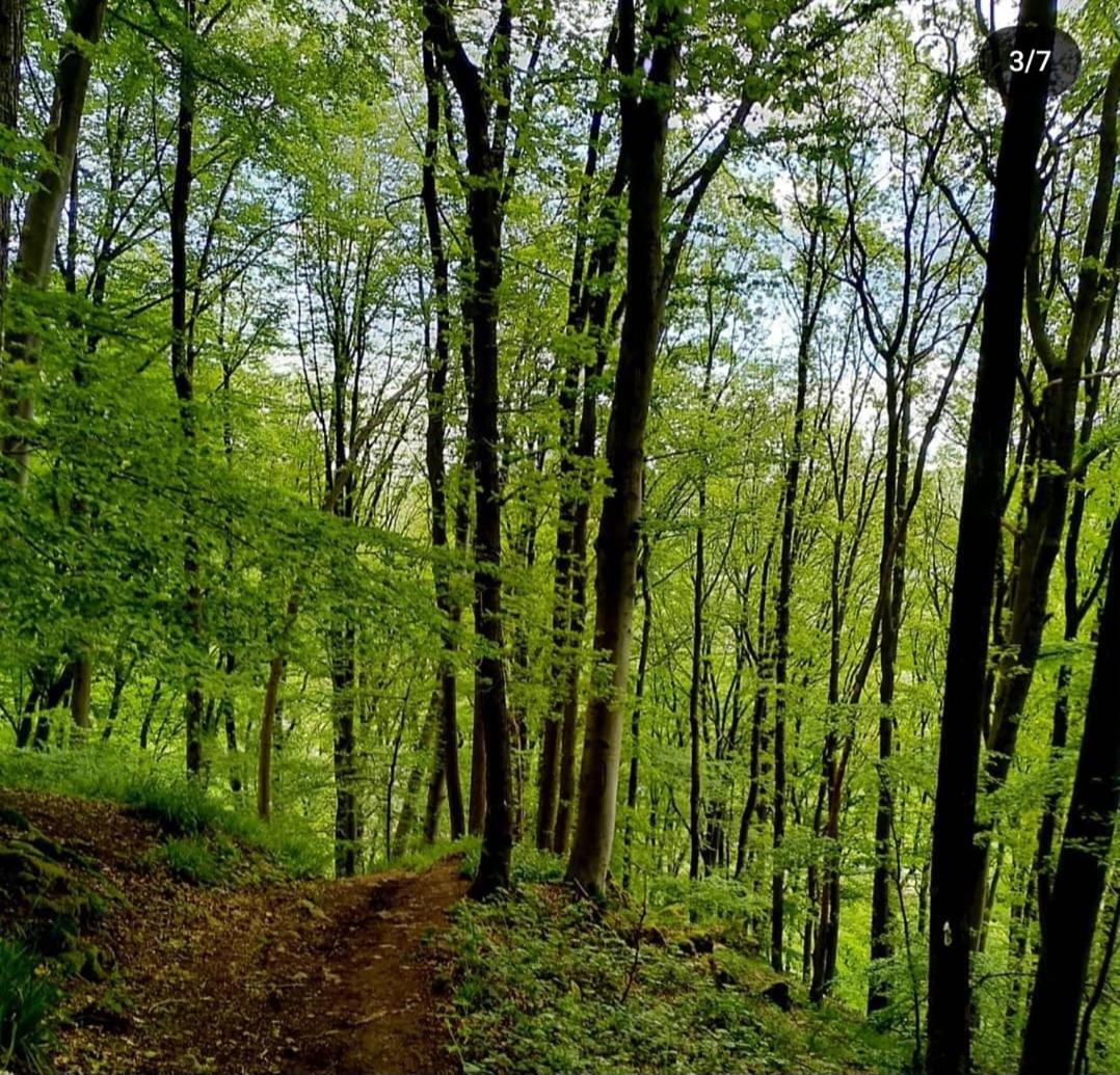 Escale Chambre d'hôtes Au coeur du vieux Profondeville entre Namur et Dinant