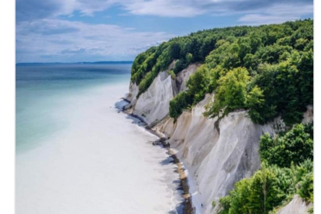 NEU! FeWo unter Reet am Wald auf Rügen