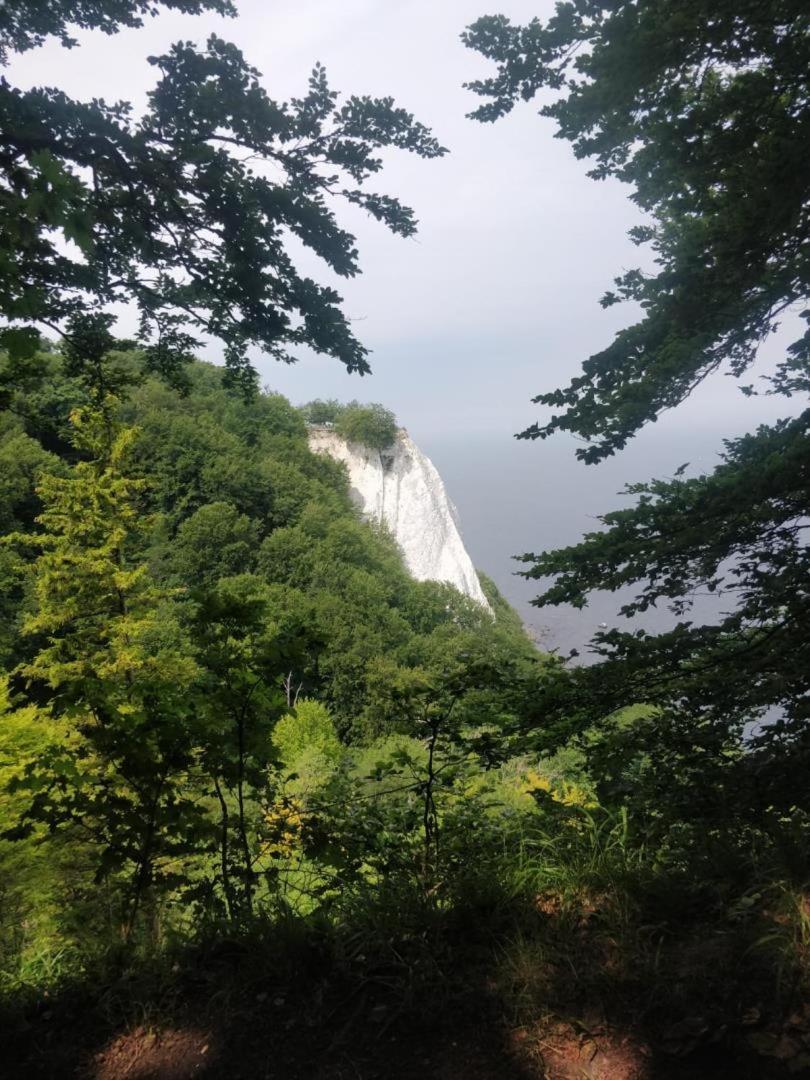 NEU! FeWo unter Reet am Wald auf Rügen