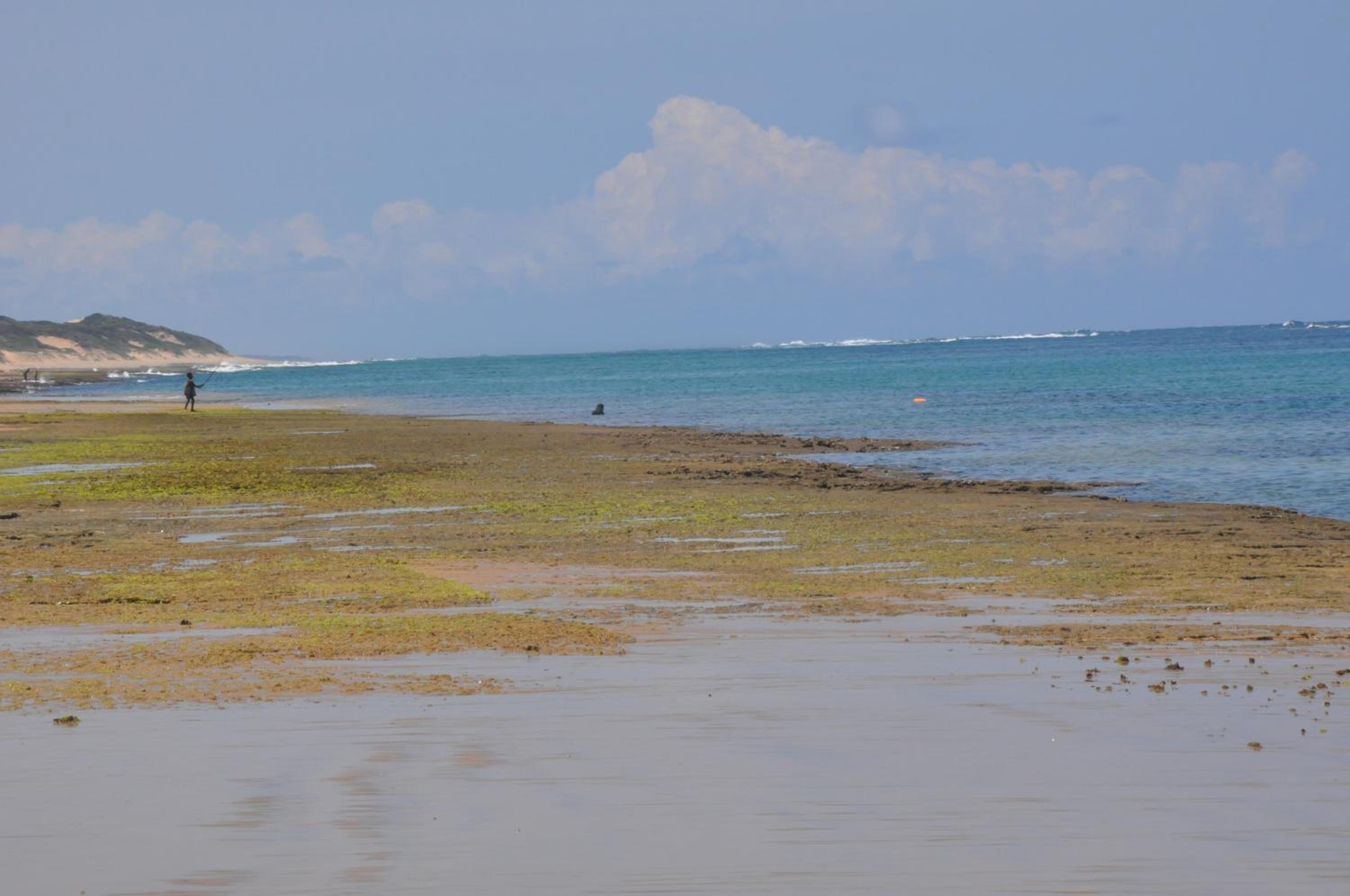 Naara Eco Lodge & Spa view 5