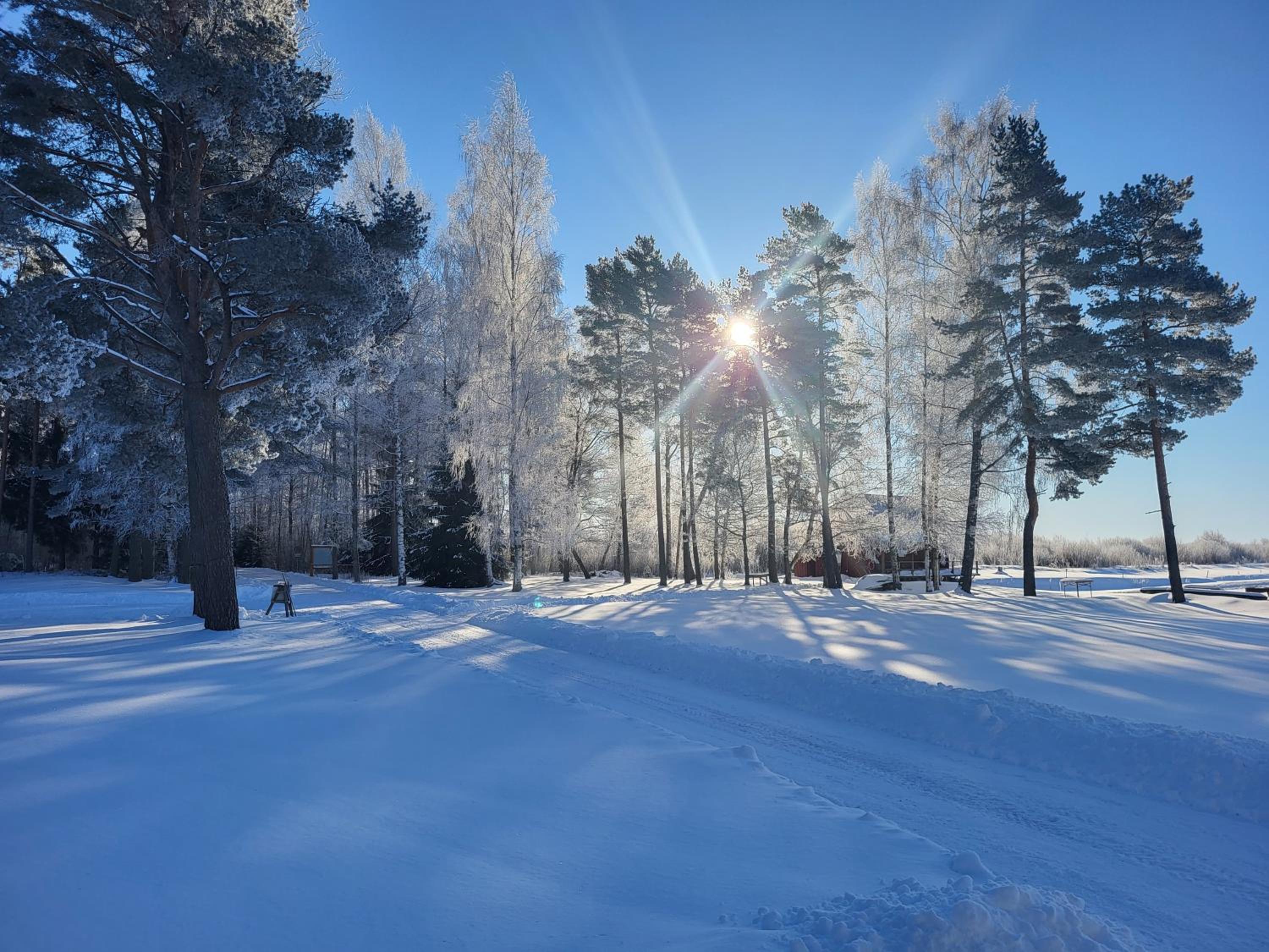 Veldemani puhkemaja
