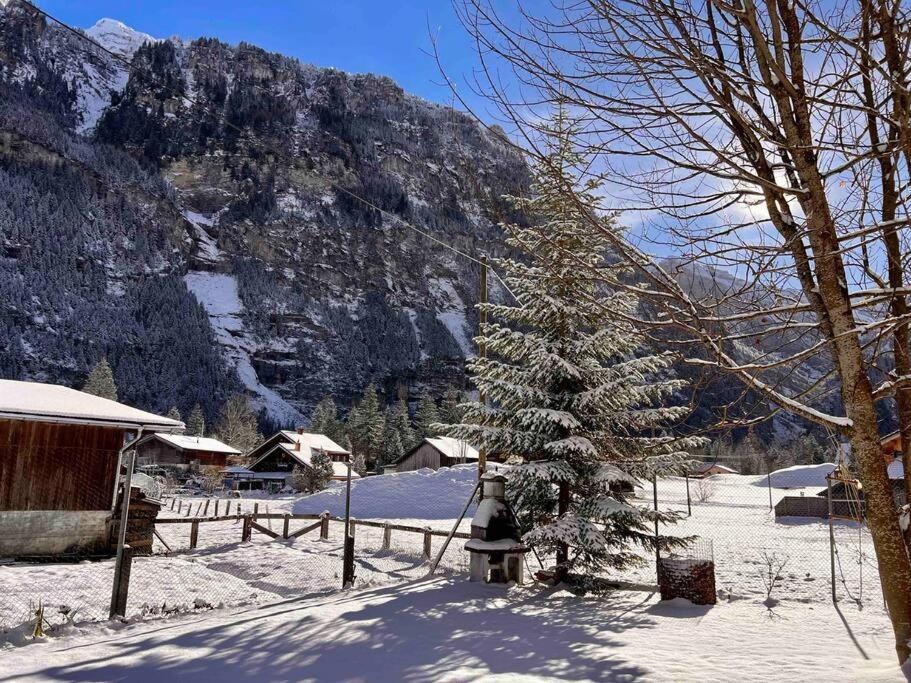 Mountain View Apartment