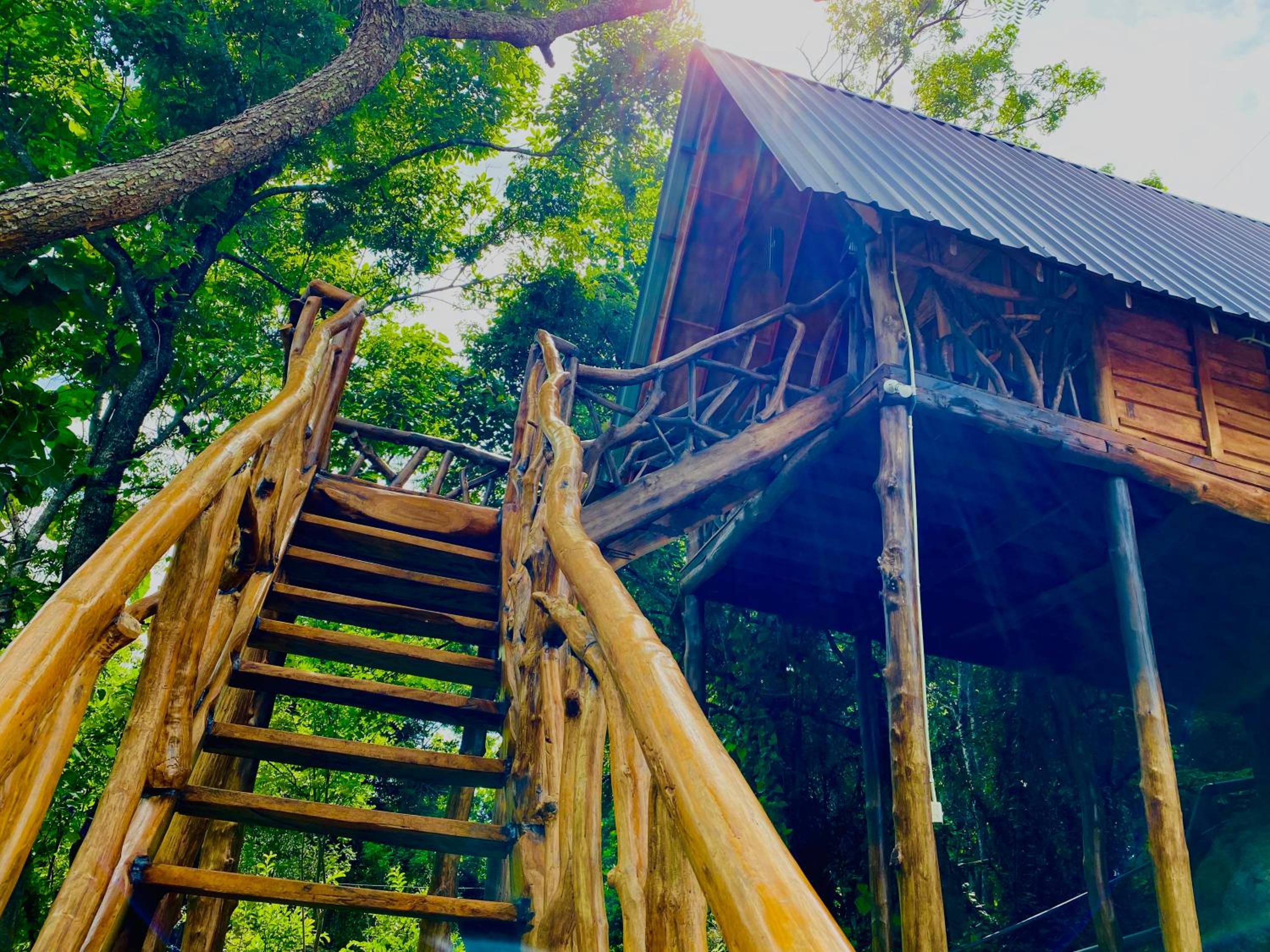 Wooden Cabana Sigiriya view 4