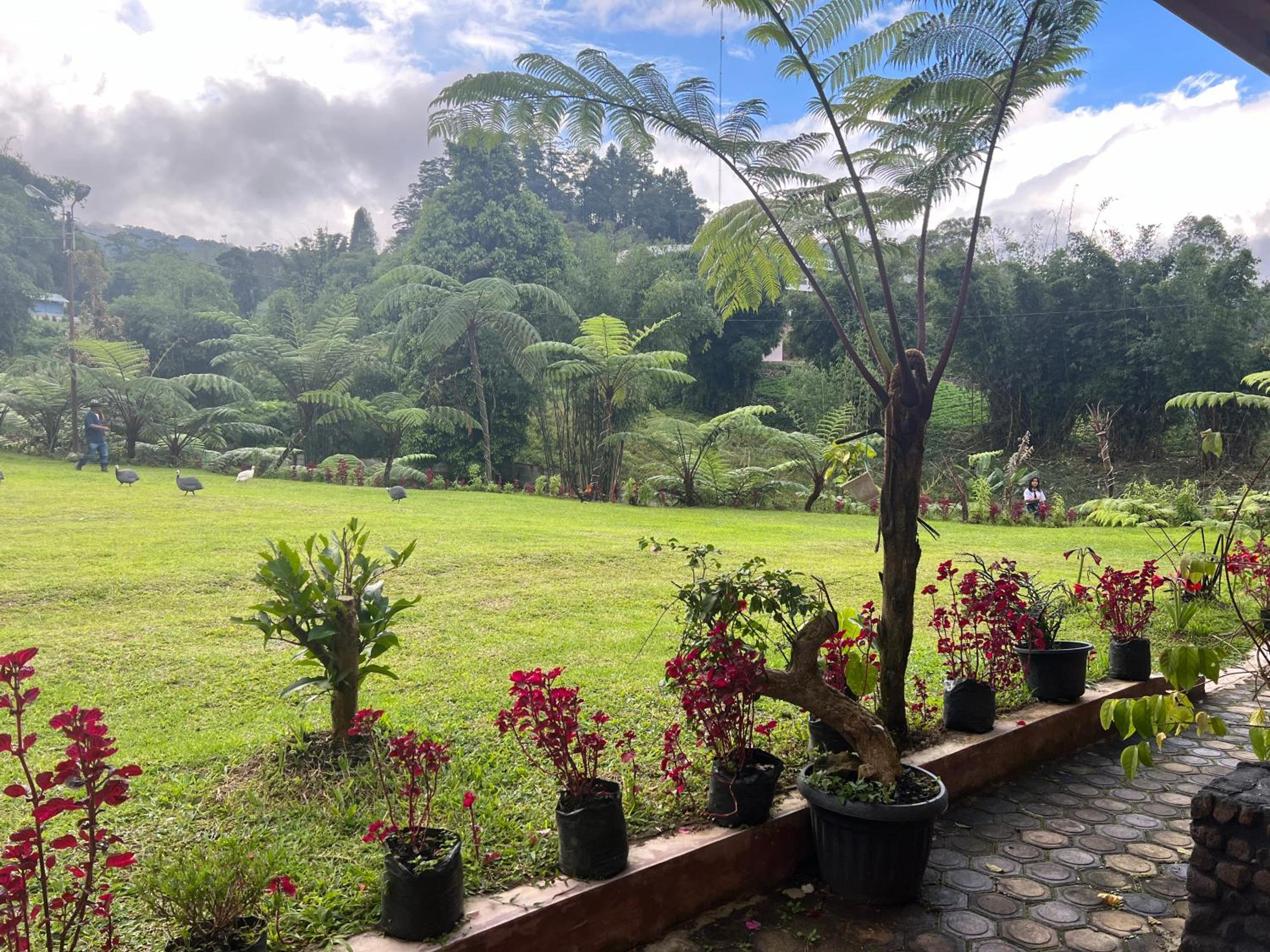 Ulina Homestay VIP Berastagi view 5