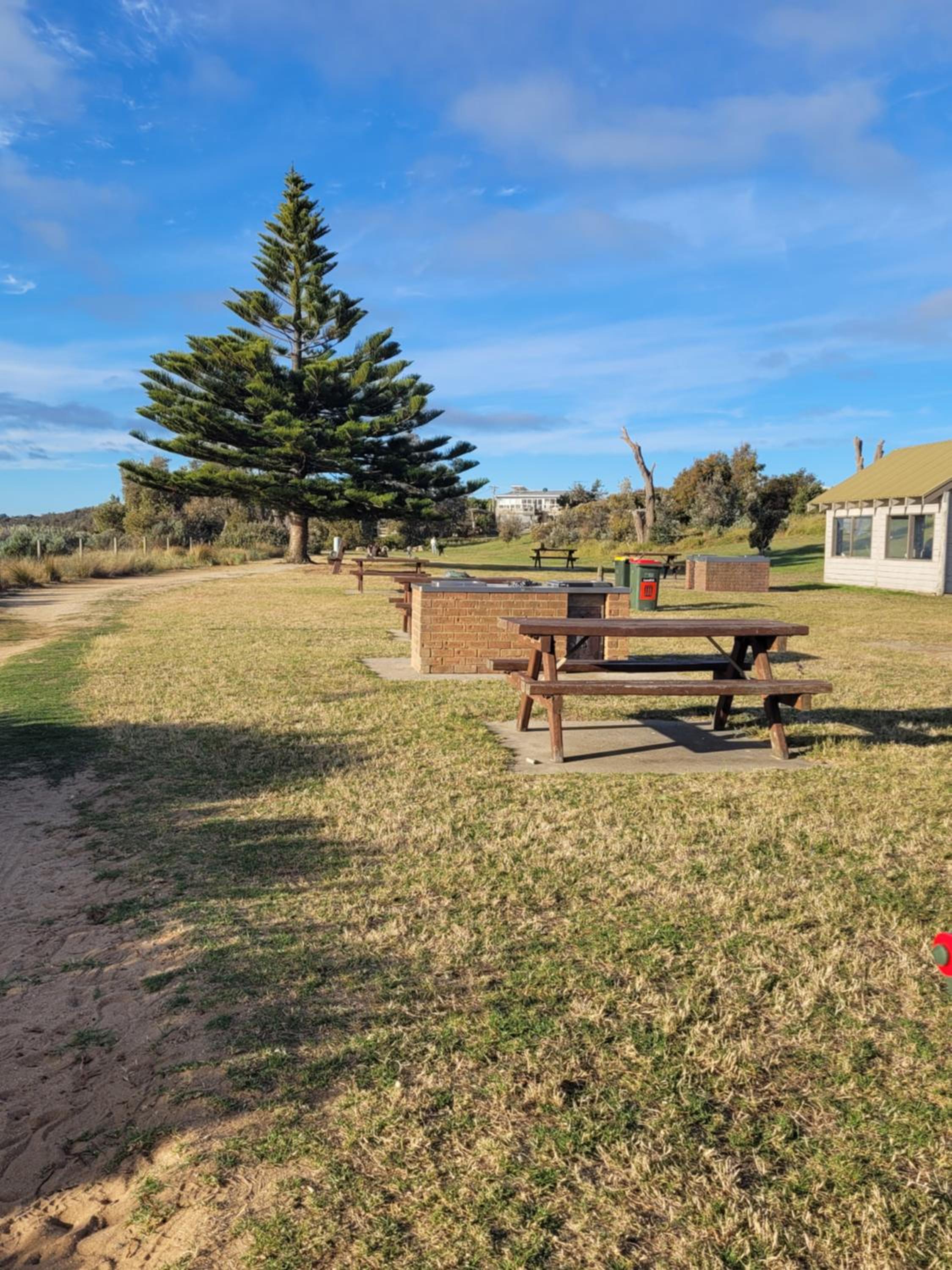 Coastal Delight