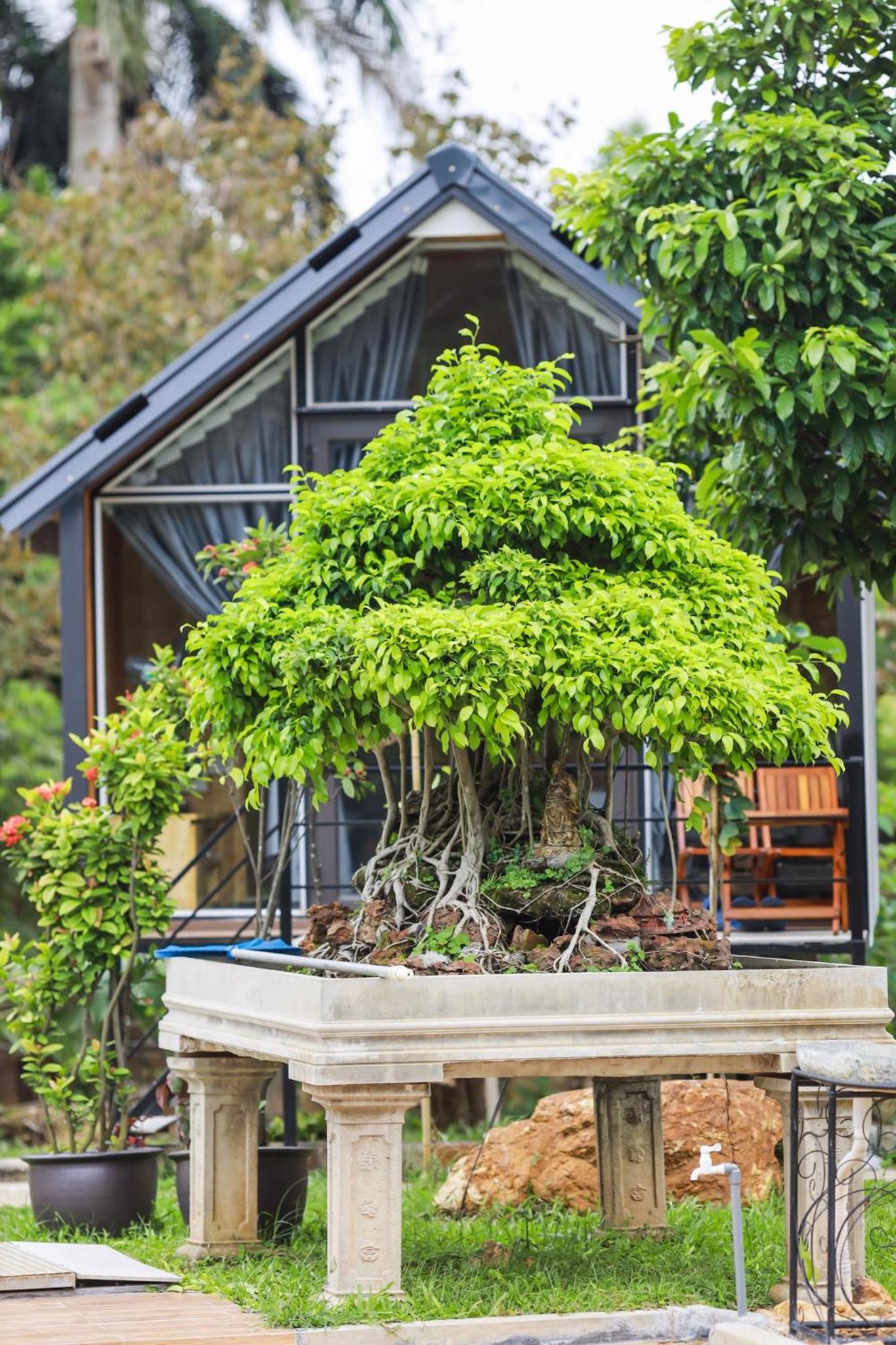 Nha Ben Suoi - Venuestay