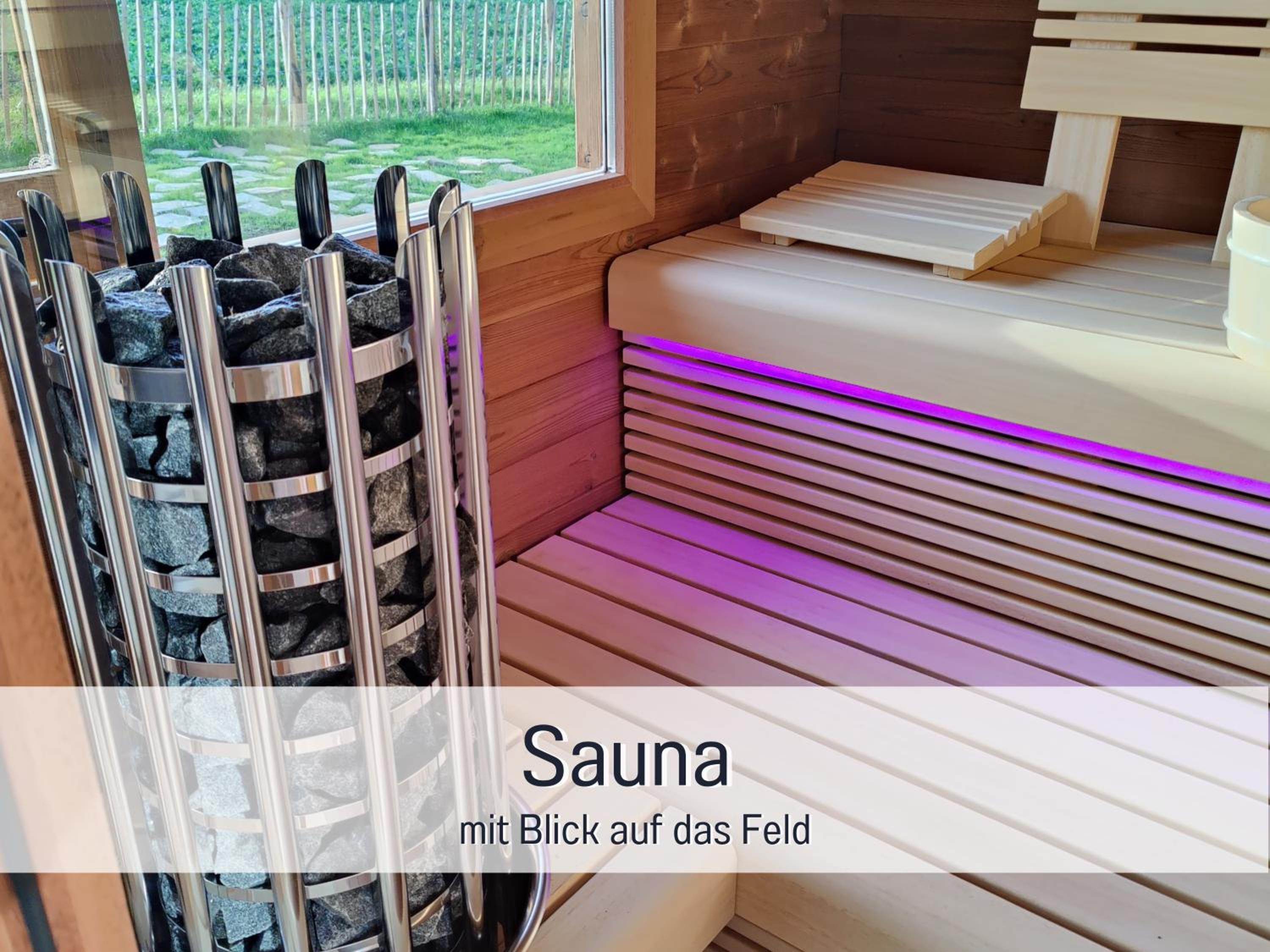 Reetmeer Apartments Spa & Reetdach am Salzhaff